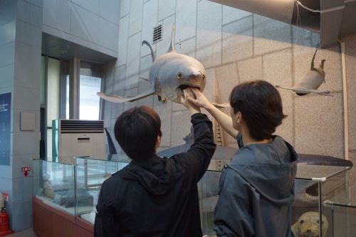 신반정보고, 4-H 동아리 현장체험학습 실시 - 관련이미지2