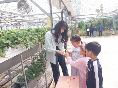 <병곡초> 딸기농장 체험학습 - 관련이미지2