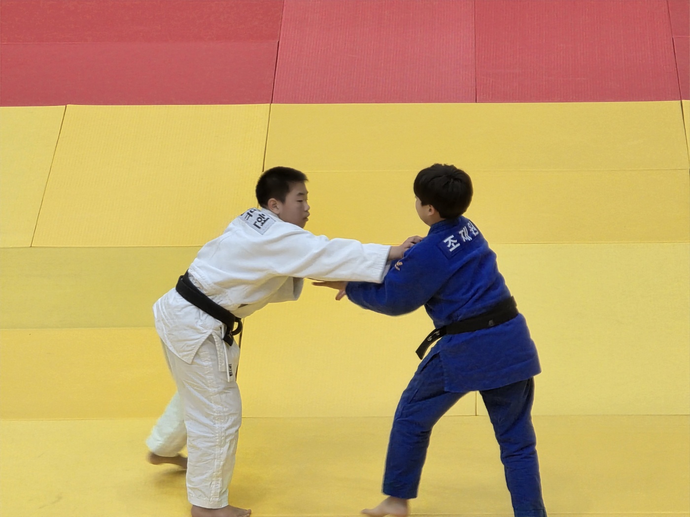 통영초 유도부, 제54회 전국소년체육대회 경남대표 3체급 선발 - 관련이미지3