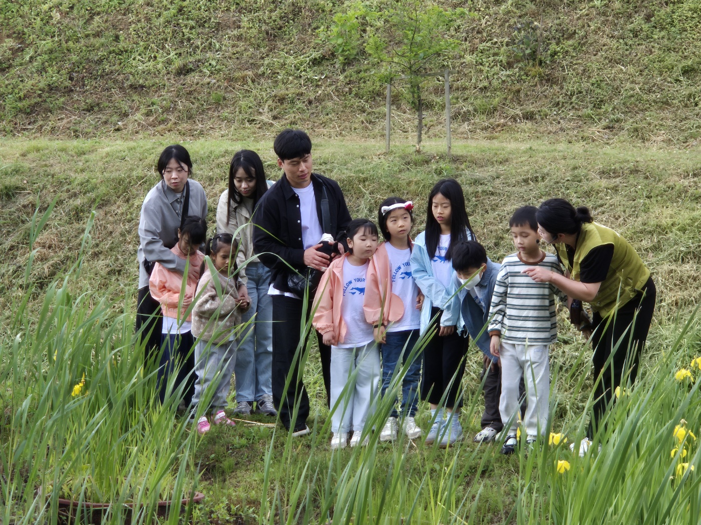 창원 하북초, 숲에서 배우고 마을에서 실천하다 - 관련이미지1