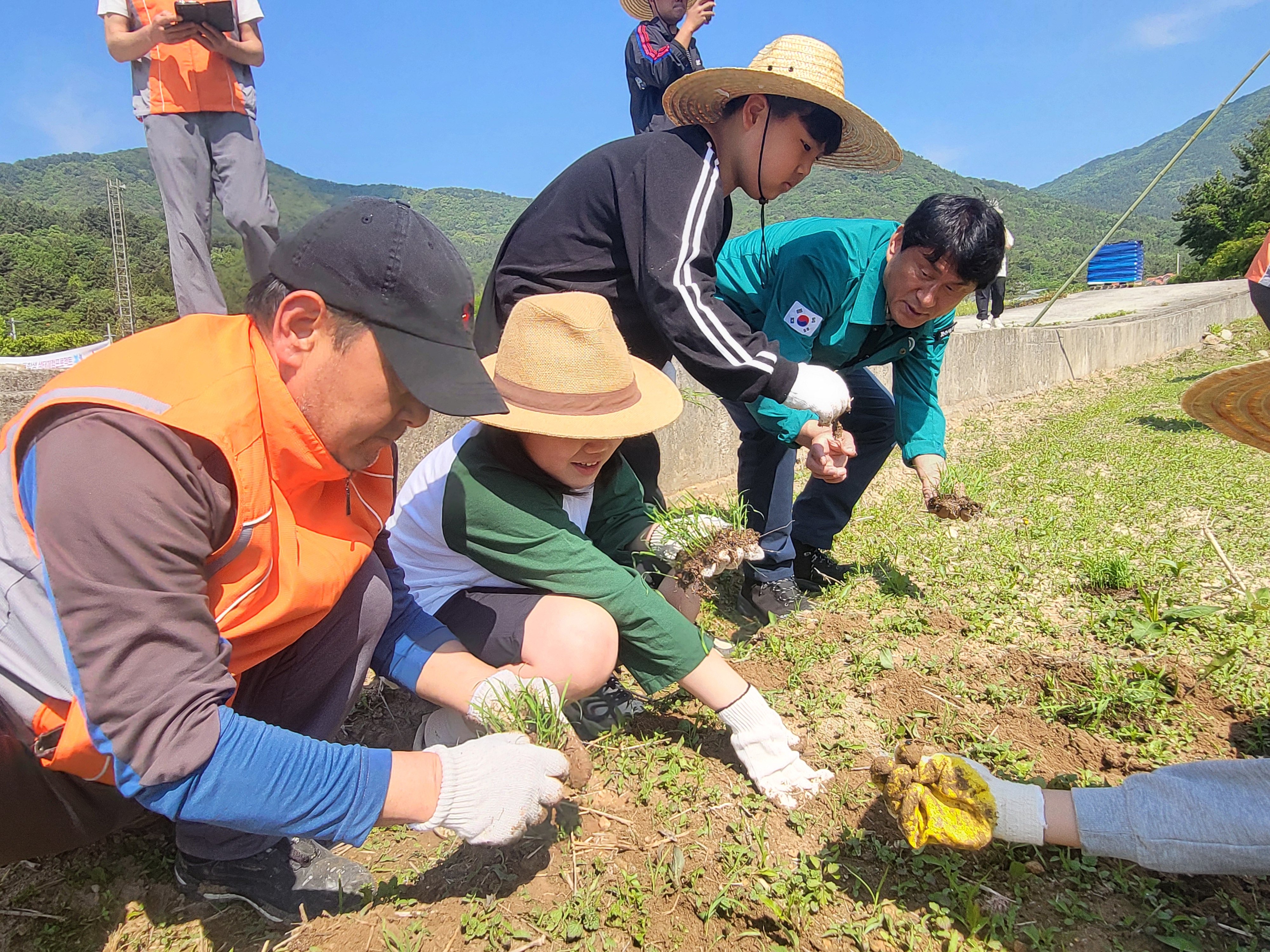 우리 손으로 싹틔운 모, 논과 밭에서 폭삭 익어주시다! - 관련이미지1
