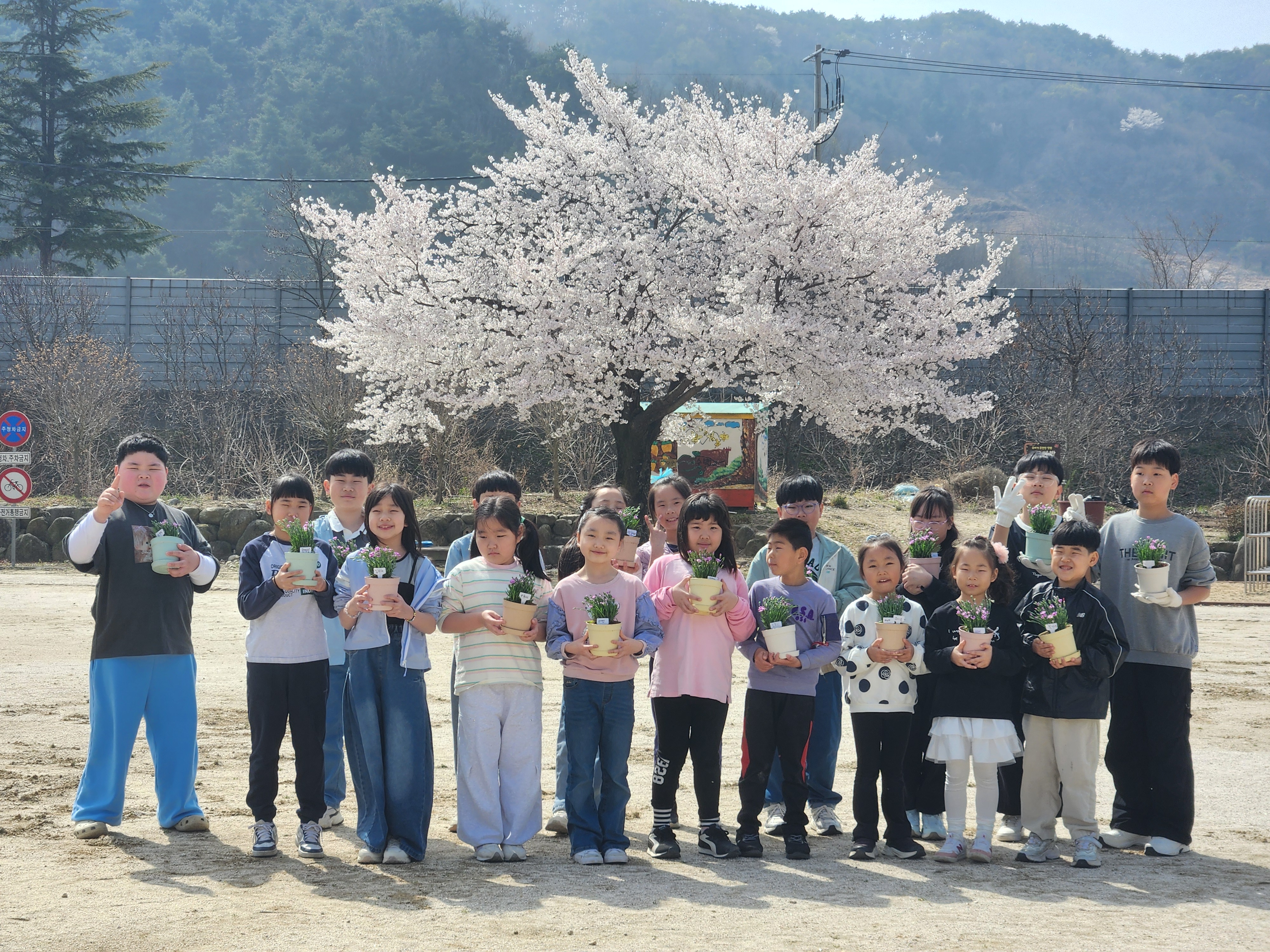 병곡초 사랑의 카네이션 심기 활동 - 관련이미지1