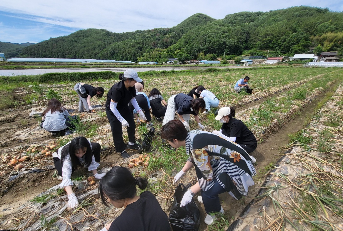 진주교육지원청, 지역 우수 식재료의 날! 우리지역 맛으로 키우는 건강한 급식 - 학교와 농가가 함께 만드는 건강한 식단,‘아요, 하모데이(DAY)’-  - 관련이미지2
