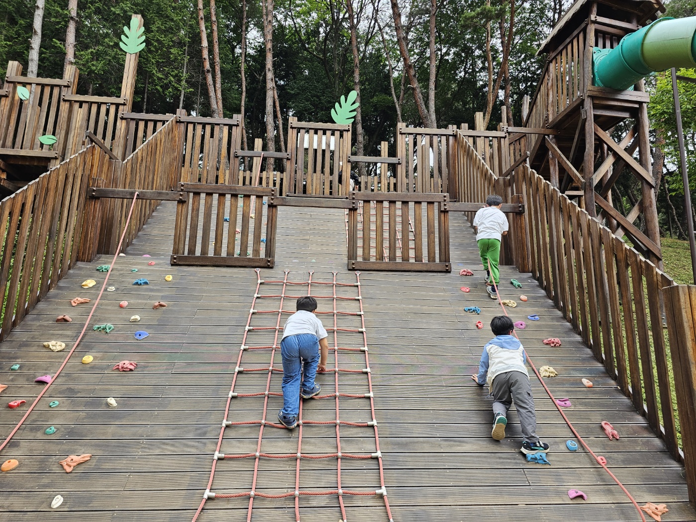 백전초, 동물원과 놀이숲에서 자연과 놀이를 만나다 - 관련이미지1