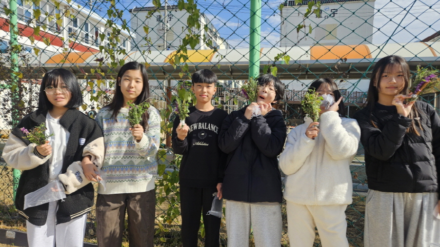 명덕초, 『허브 수확 및 스머지스틱 만들기 체험』실시 - 관련이미지2
