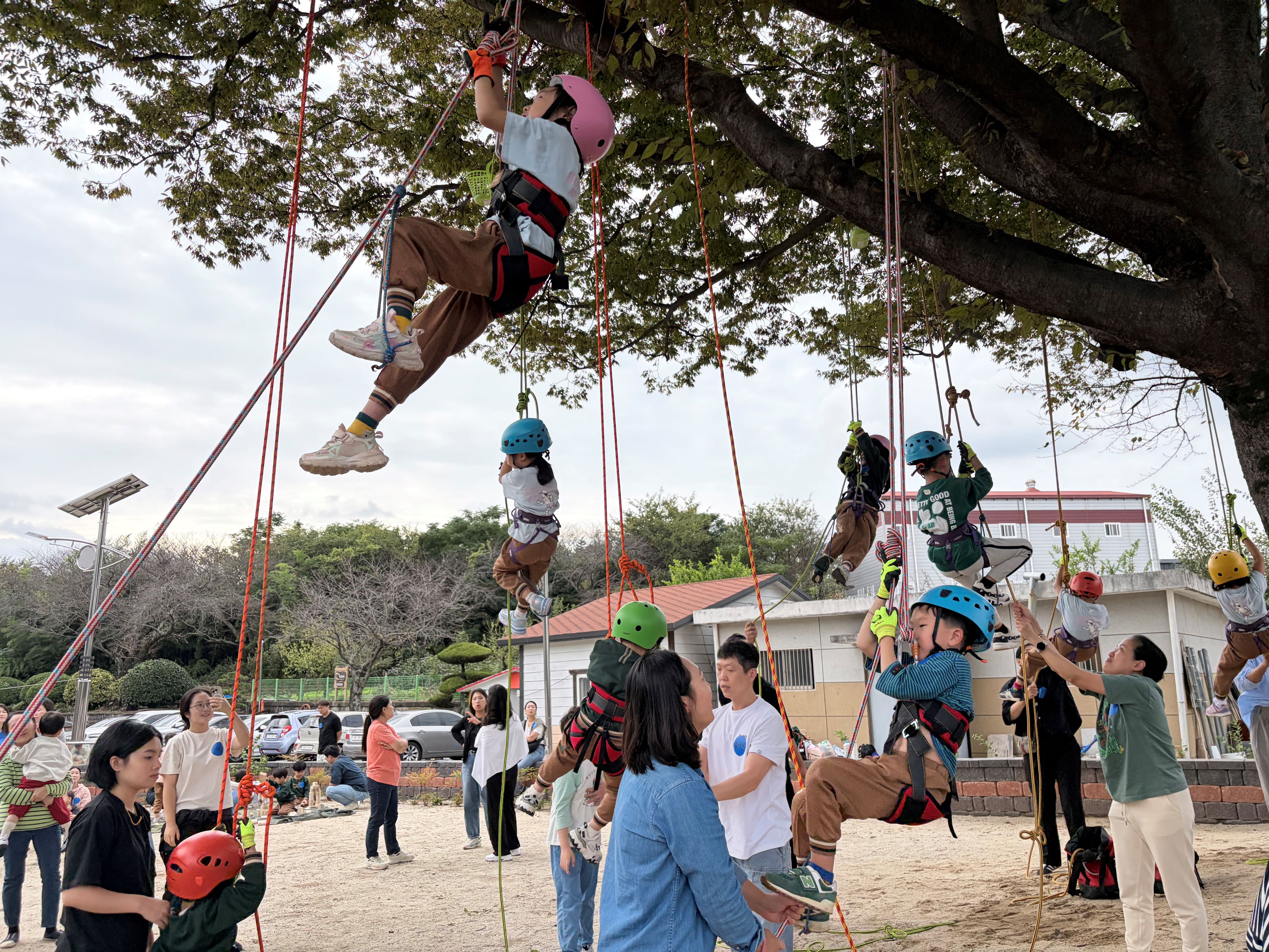  선진유치원, 「가을 숲 밧줄 자연놀이」개최  - 관련이미지3