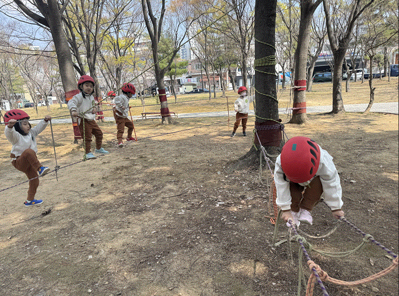 밧줄 체험으로 몸도 마음도 자라는 작은 모험 - 관련이미지1