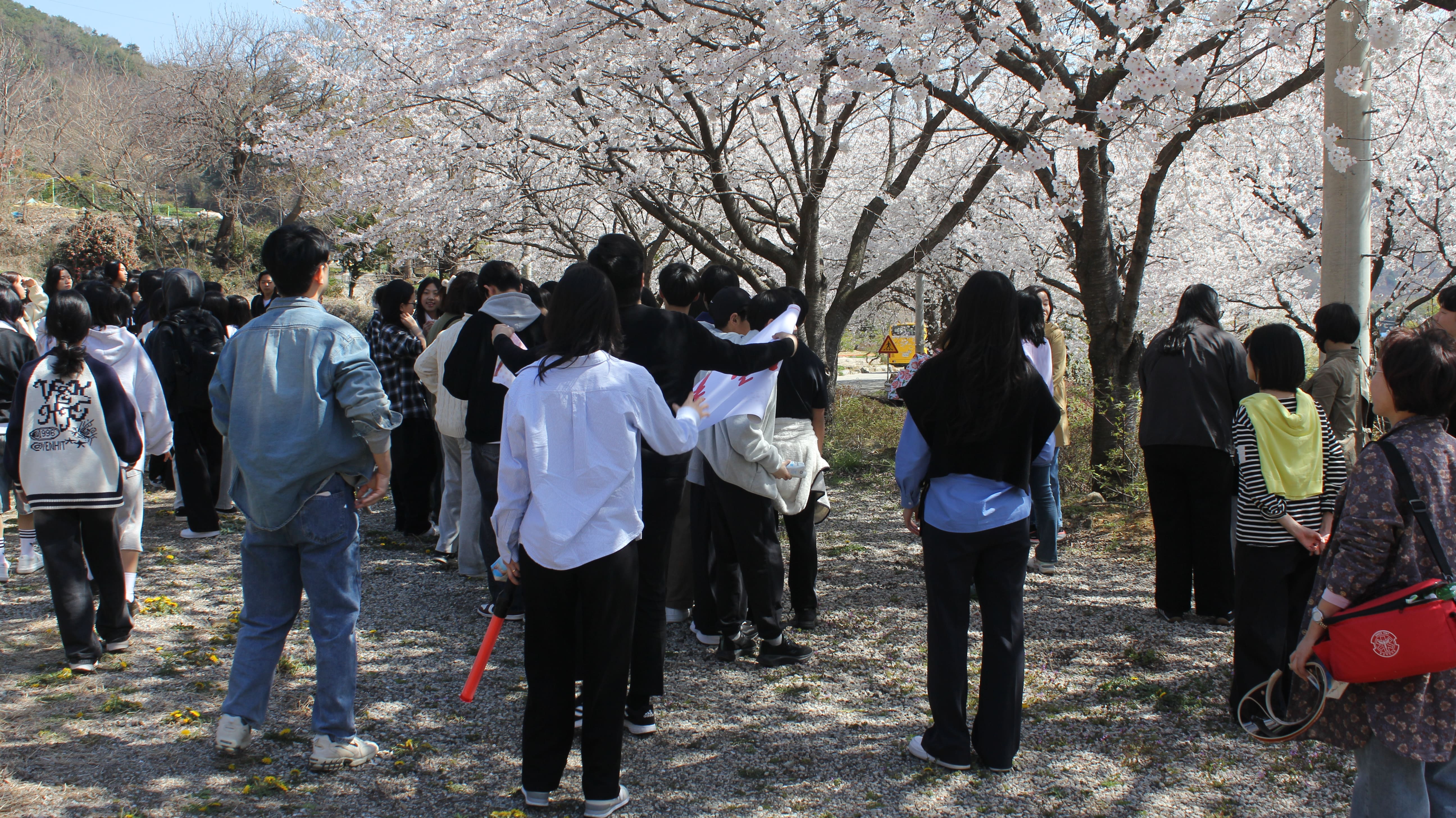 한다사중, 황토재에서 분홍빛 가득 봄을 만끽하다! - 관련이미지2