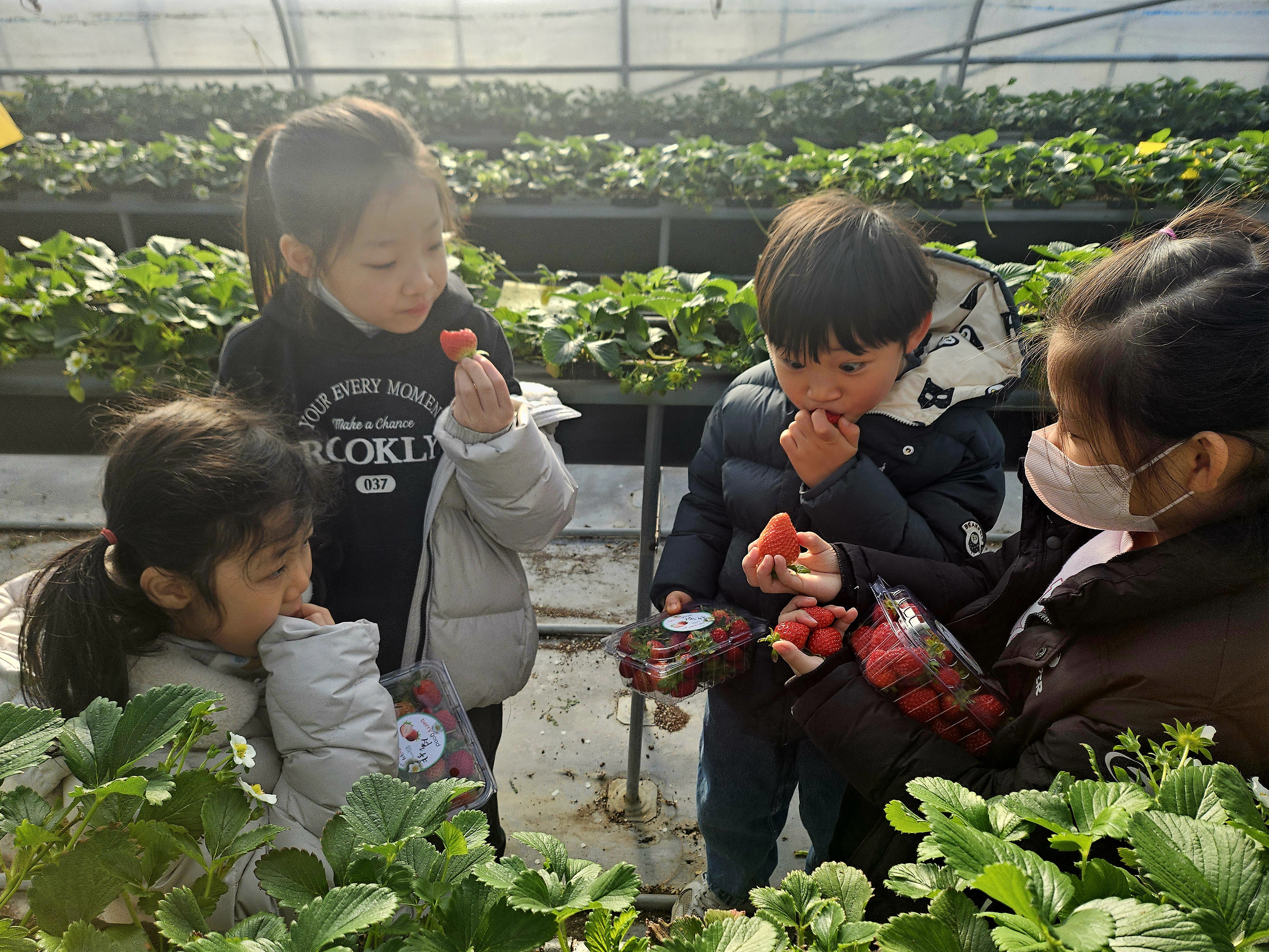 함안교육지원청, 학년말 취약 시기 학생 마음을 잇다 - 관련이미지2