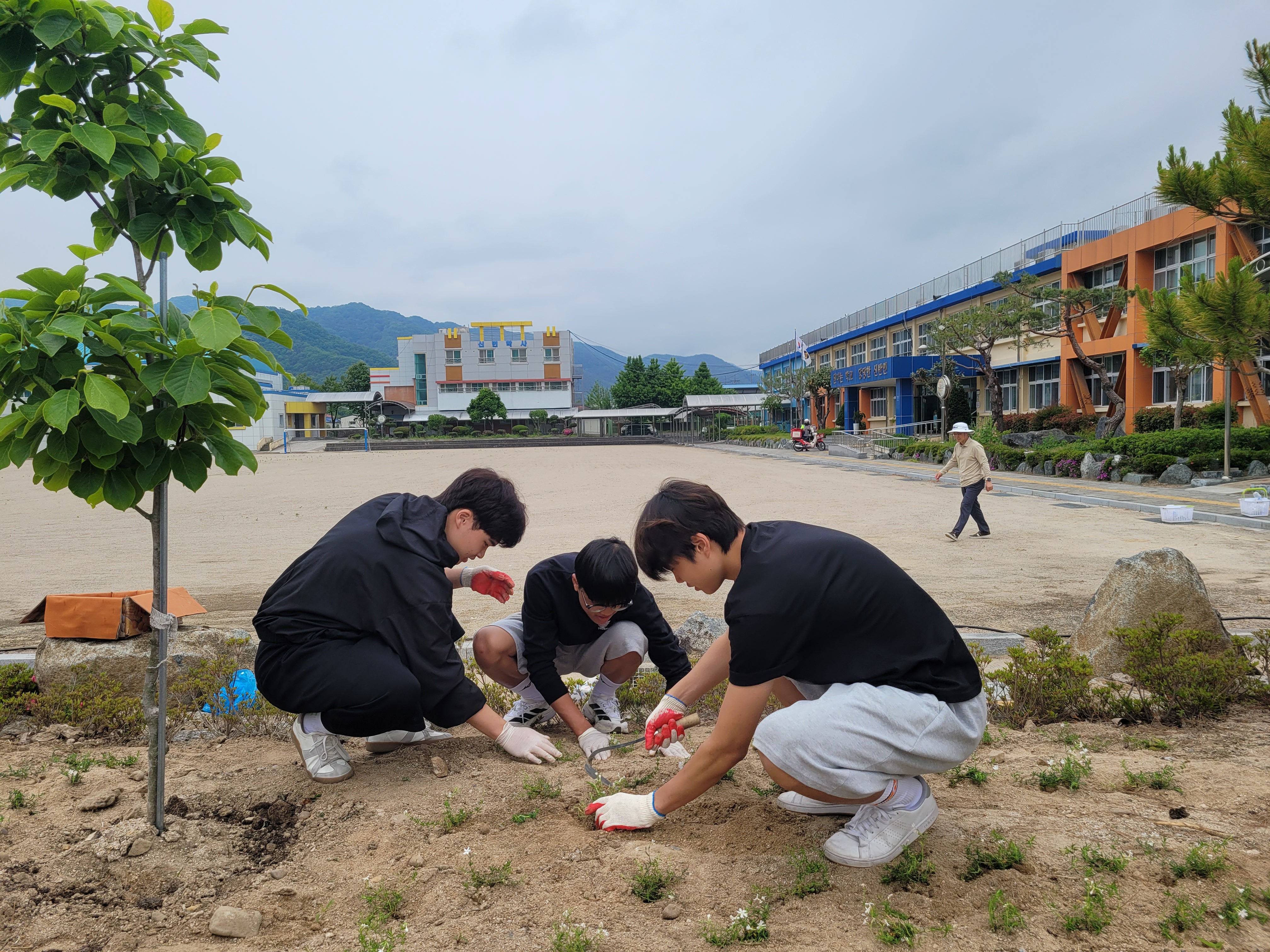 신반정보고, 땅에 심은 학교 사랑 – 40명의 손으로 피운 화단 - 관련이미지1