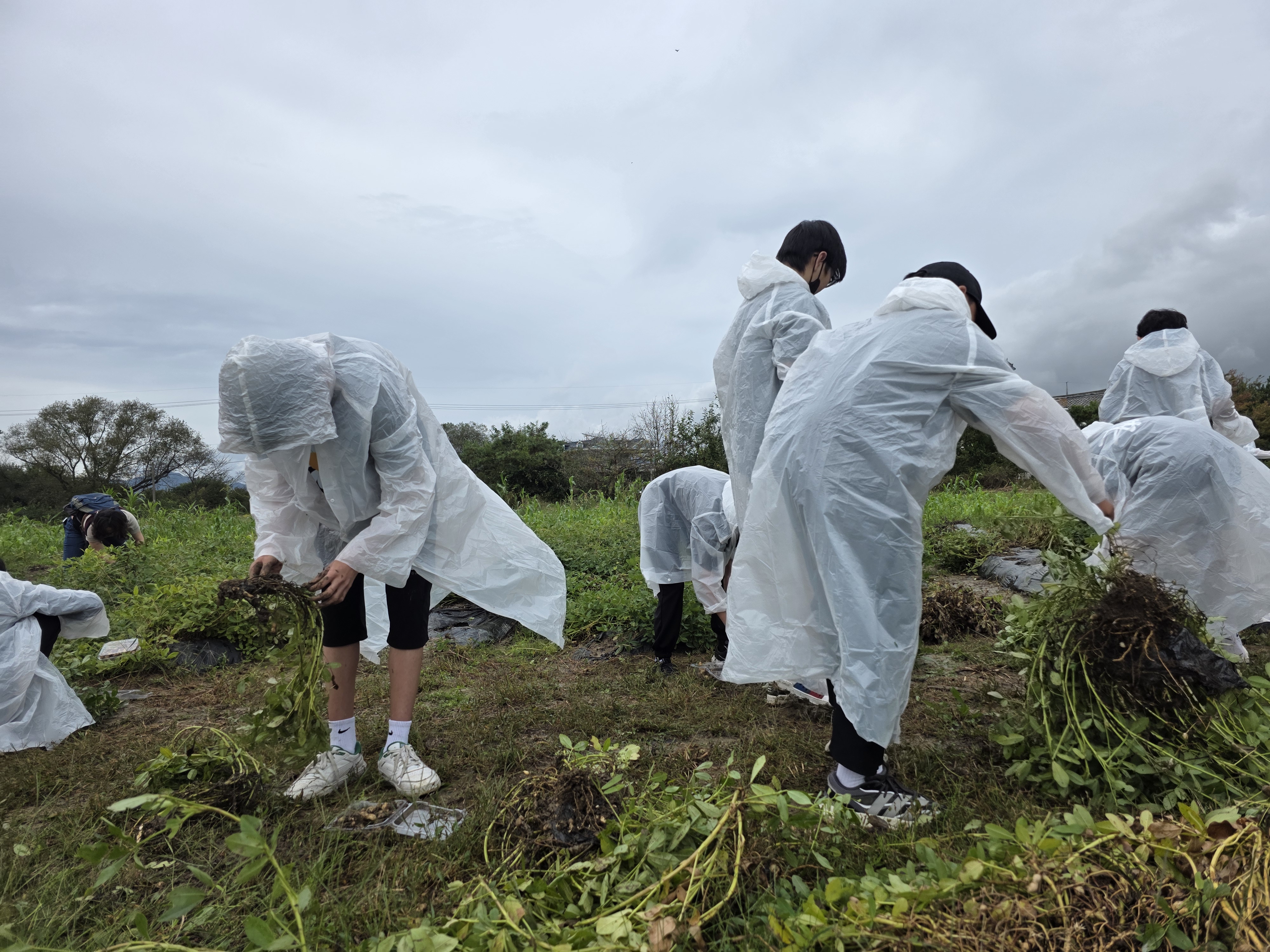 진해중학교, 가을맞이 농촌 힐링 캠프 운영 - 관련이미지3