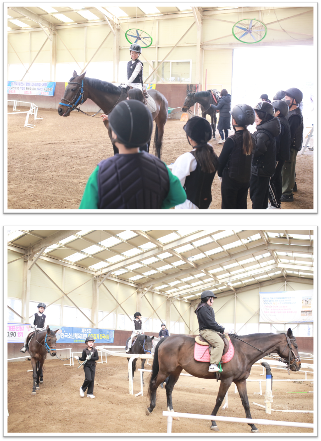 김해 용산초, 승마교육으로 여는 새로운 배움과 성장의 장 - 관련이미지2