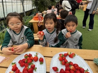 사화초병설유치원, 소규모 유치원 협동체험학습운영 - 관련이미지3