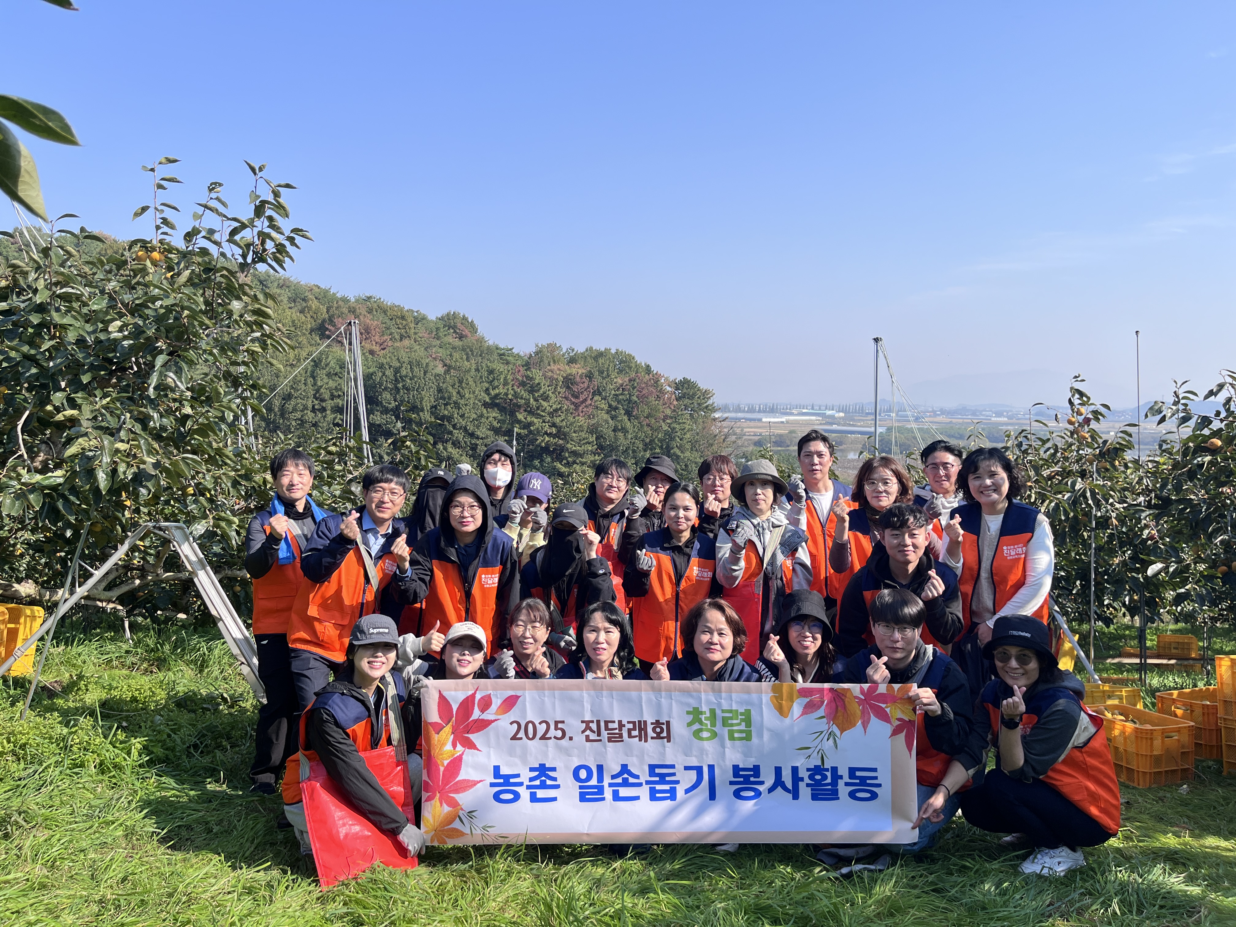 창원교육지원청, ‘사랑의 손길로 함께한 단감 수확’ - 관련이미지1