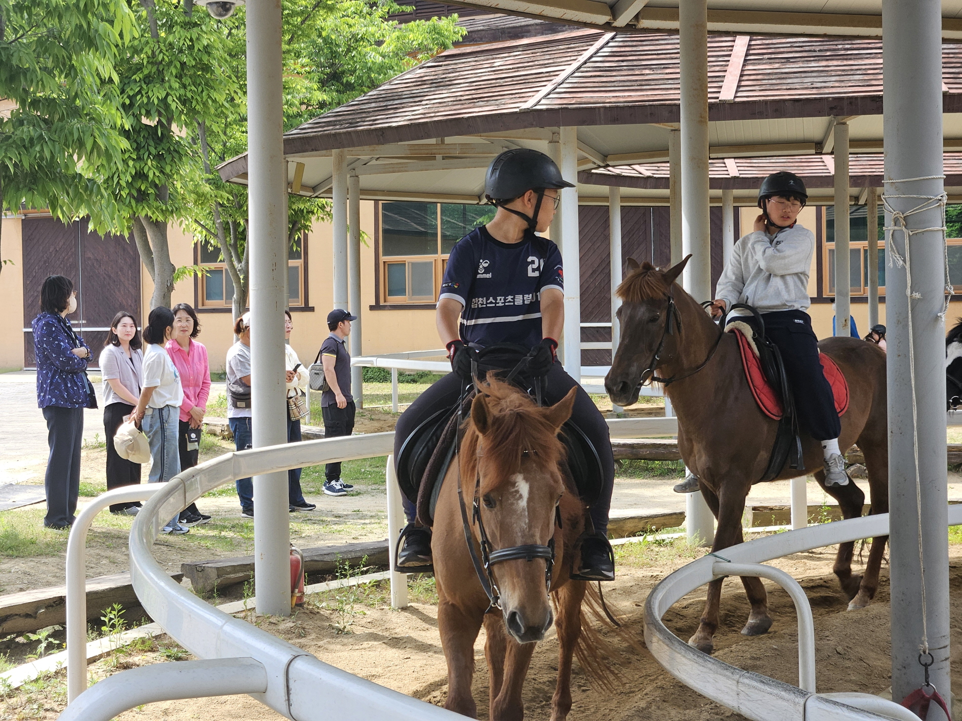 대양초, 방과후학교 승마 프로그램 첫 활동공개 실시 - 관련이미지1