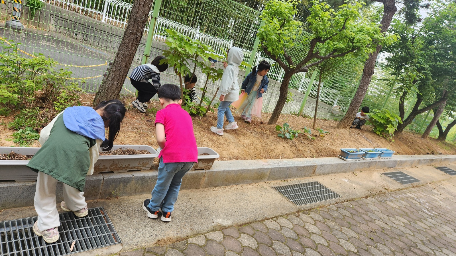 명도초병설유치원, '놀이로 만나는 숲' 체험활동 실시 - 관련이미지2