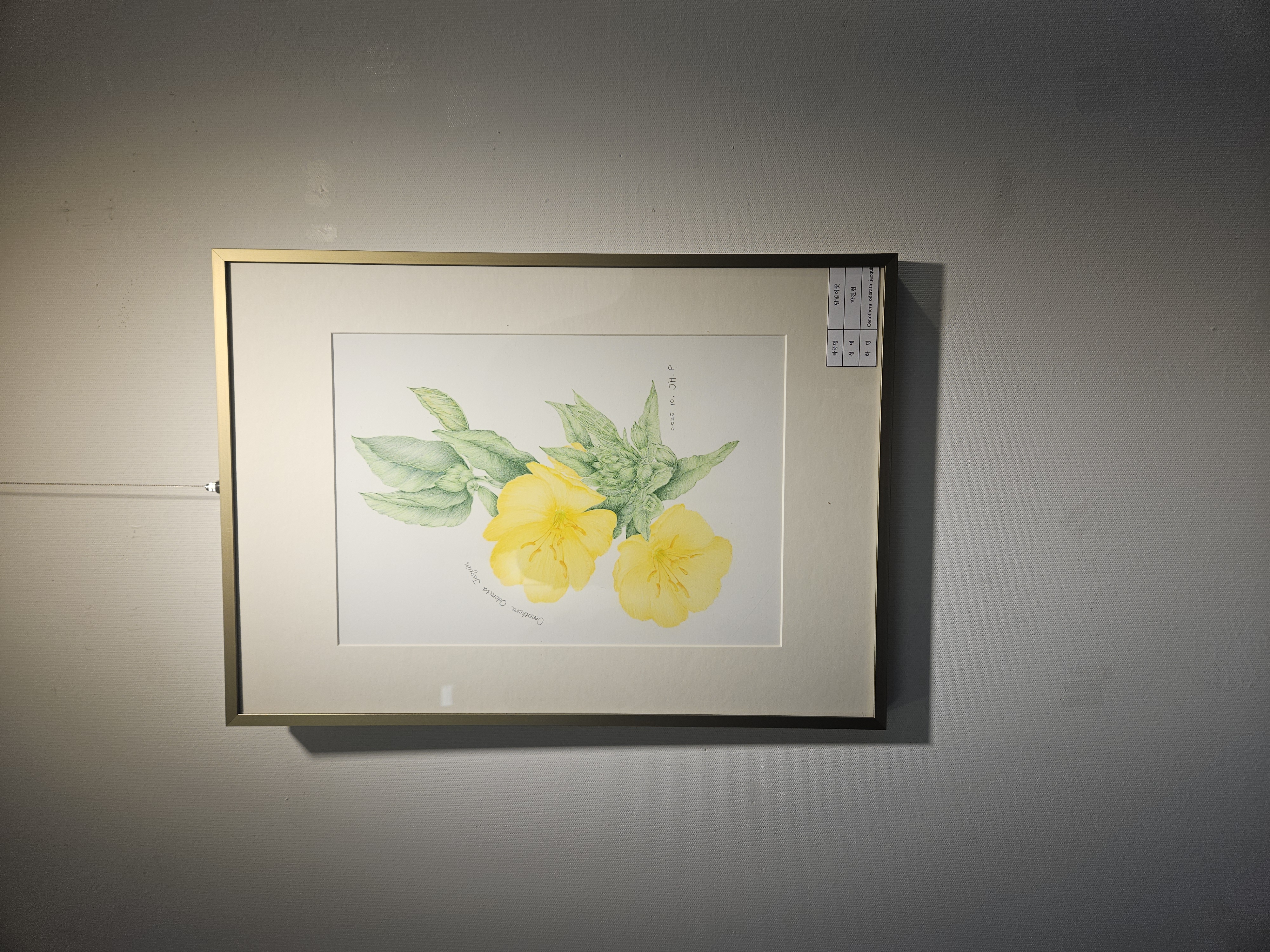 통영 제석초, 학부모 미술동아리 회원전 열어 - 관련이미지2