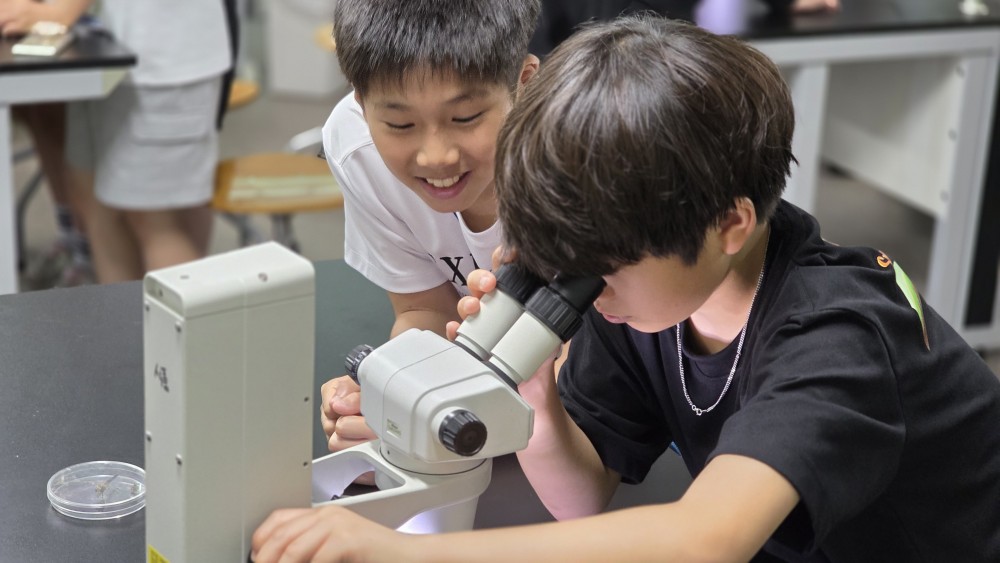 2025학년도 통영영재교육원, 전북 김제에서 ‘영재KIUM캠프’ 실시 - 관련이미지4