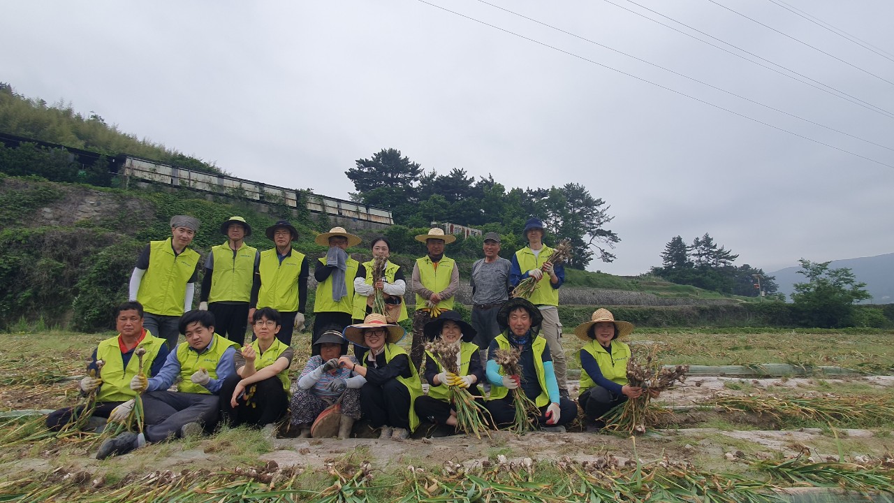 남해교육지원청, 청렴봉사단 농촌봉사활동 펼쳐 - 관련이미지3