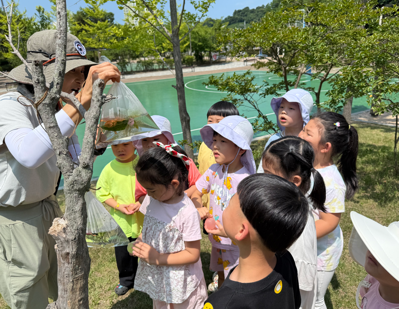 진해신항초등학교병설유치원, 자연과 교감해요 - 관련이미지2