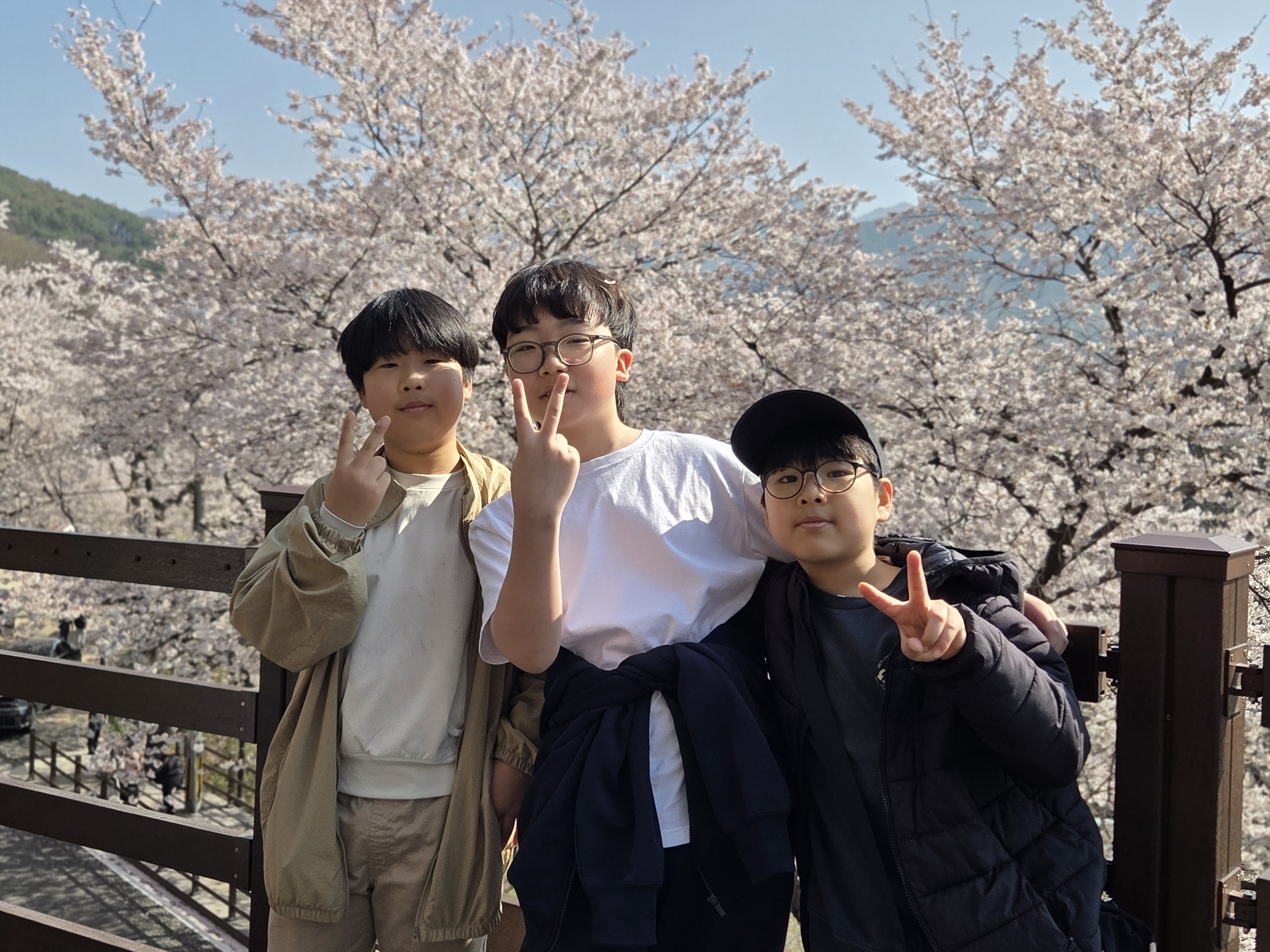 악양초, 꽃비 내리는 십리벚꽃길에서 봄을 배우다 - 관련이미지3