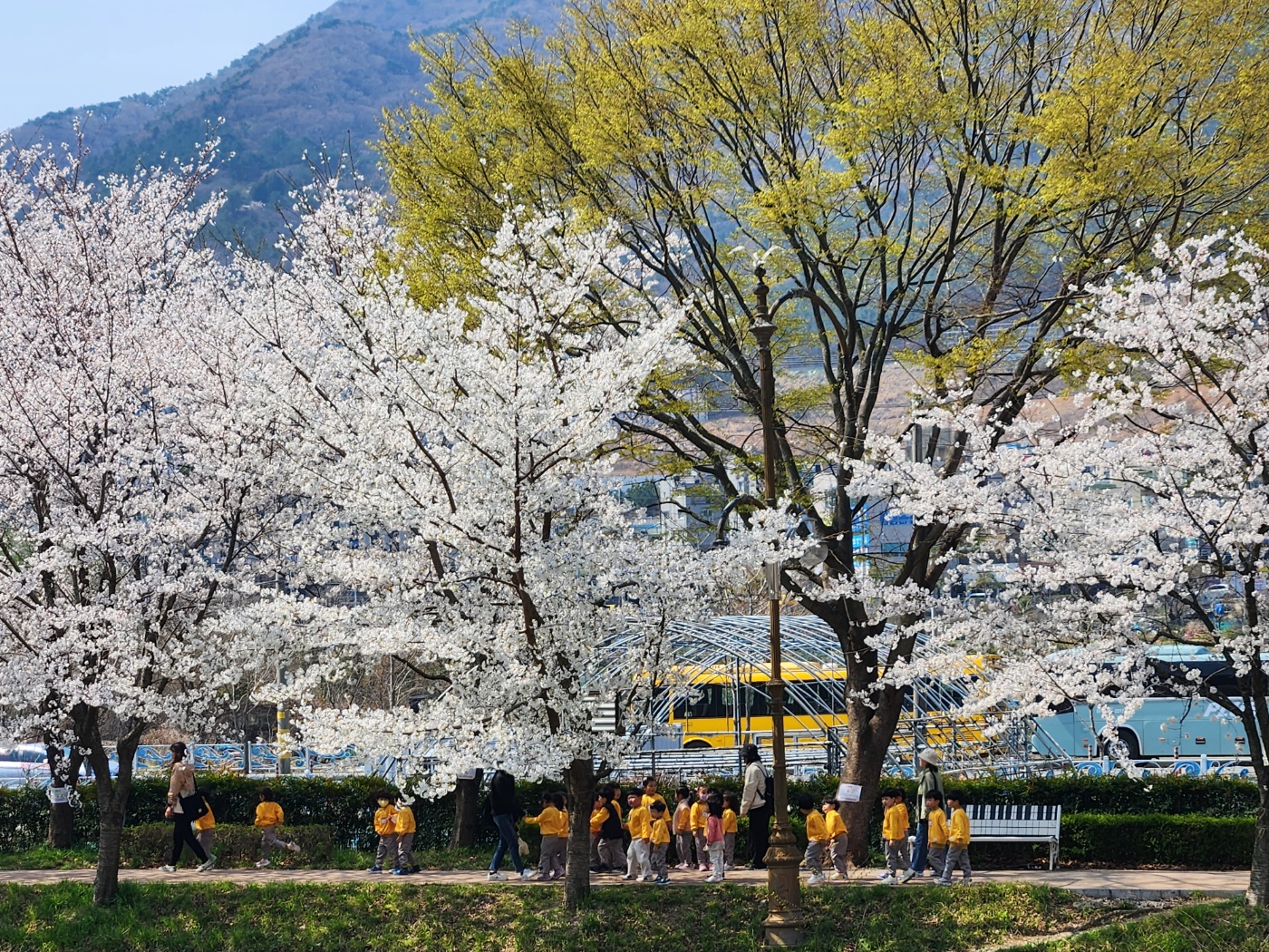 사등유치원 세시풍속 한식맞이 봄나들이 체험을 떠나요 - 관련이미지1