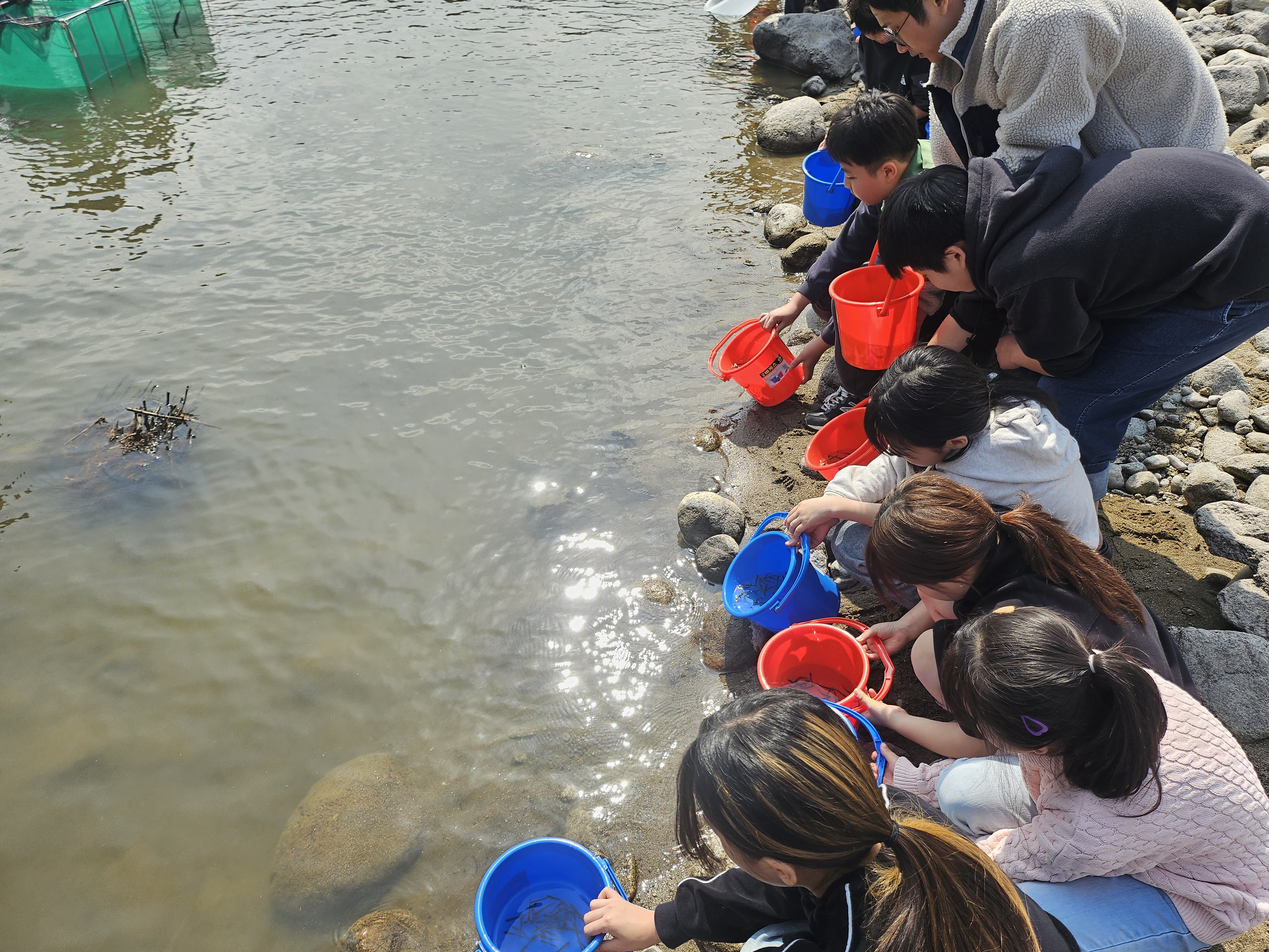 화개초, 연어·은어 방류 행사에 참여하여 생태계 복원에 힘쓰다 - 관련이미지2