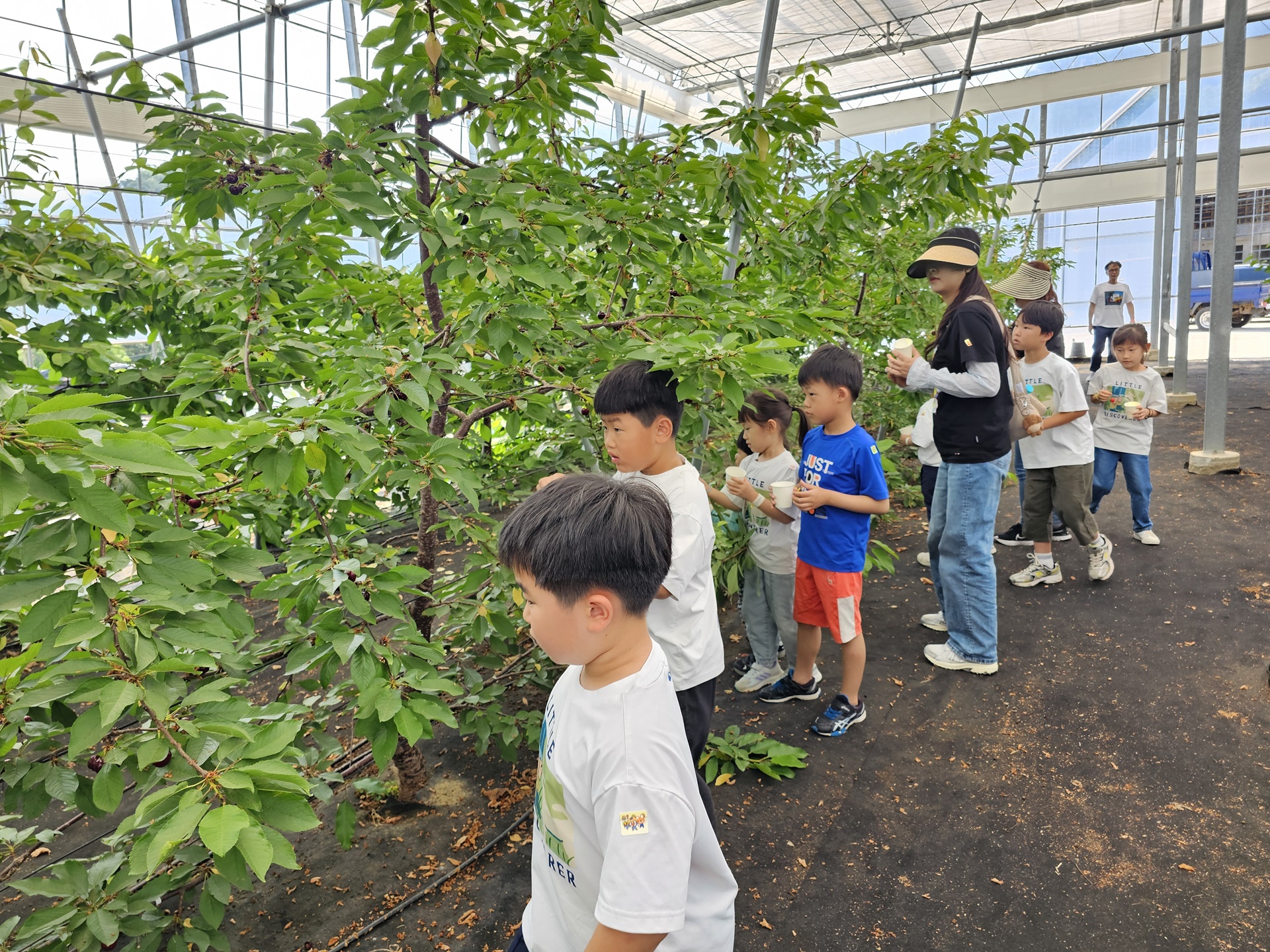 백전초, 식물 이야기와 함께한 특별한 하루 - 관련이미지2