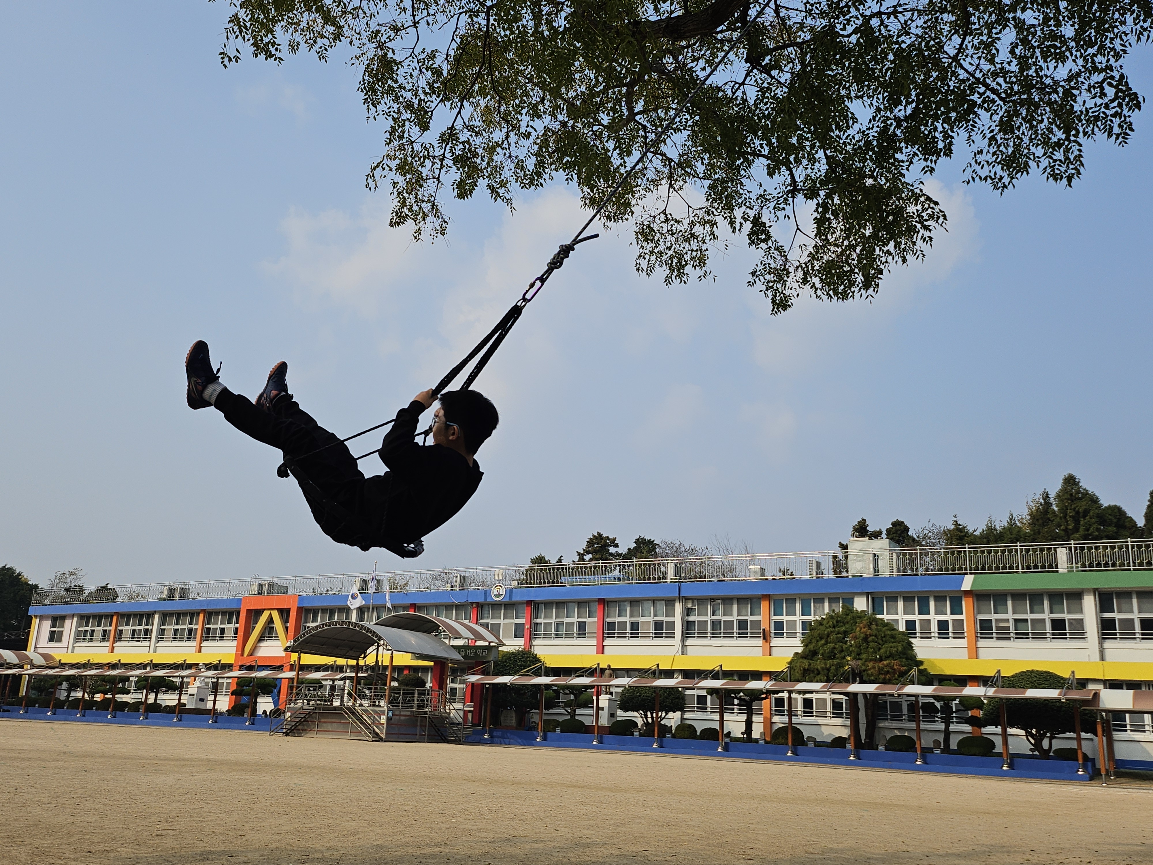 사등초등학교, 전교생 참여 ‘숲 밧줄놀이 체험’ - 관련이미지1