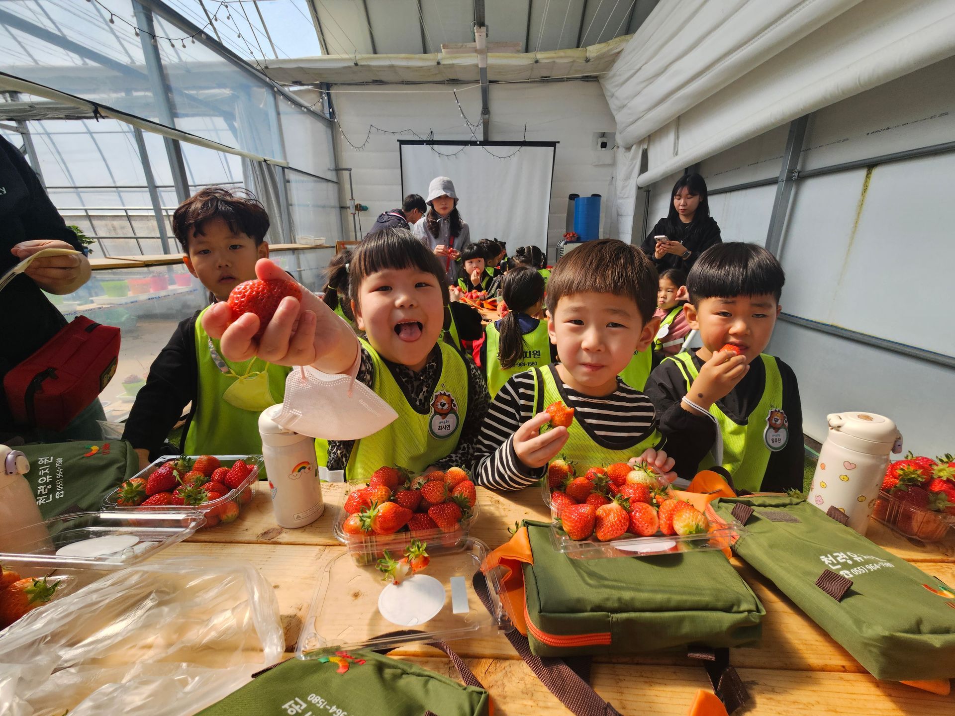 천령유, 달콤한 딸기향이 가득하고 스마트하고 똑똑한 스마트팜 딸기 농장으로 가요 - 관련이미지2