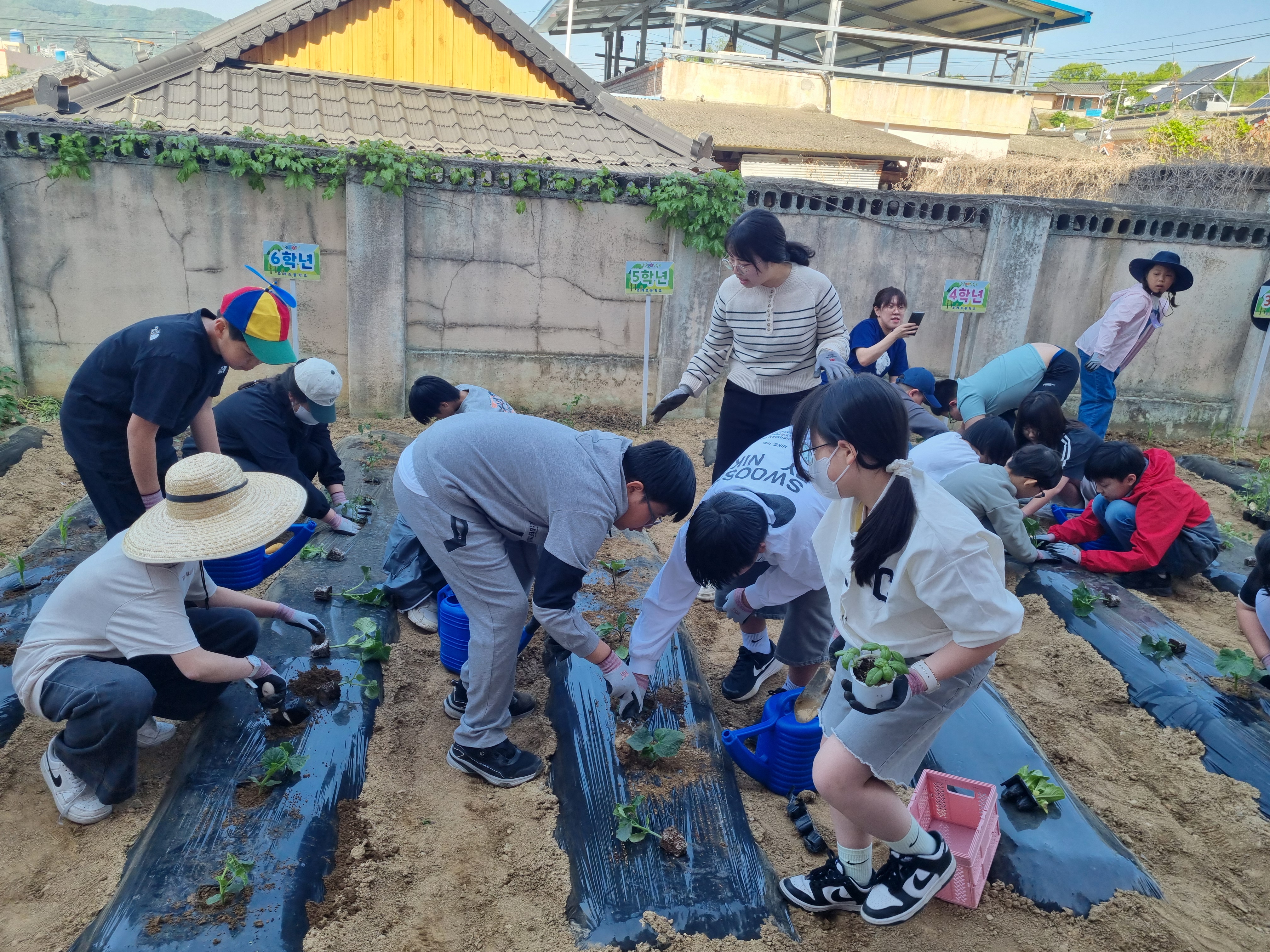 텃밭교육학교 체험모습1.jpg