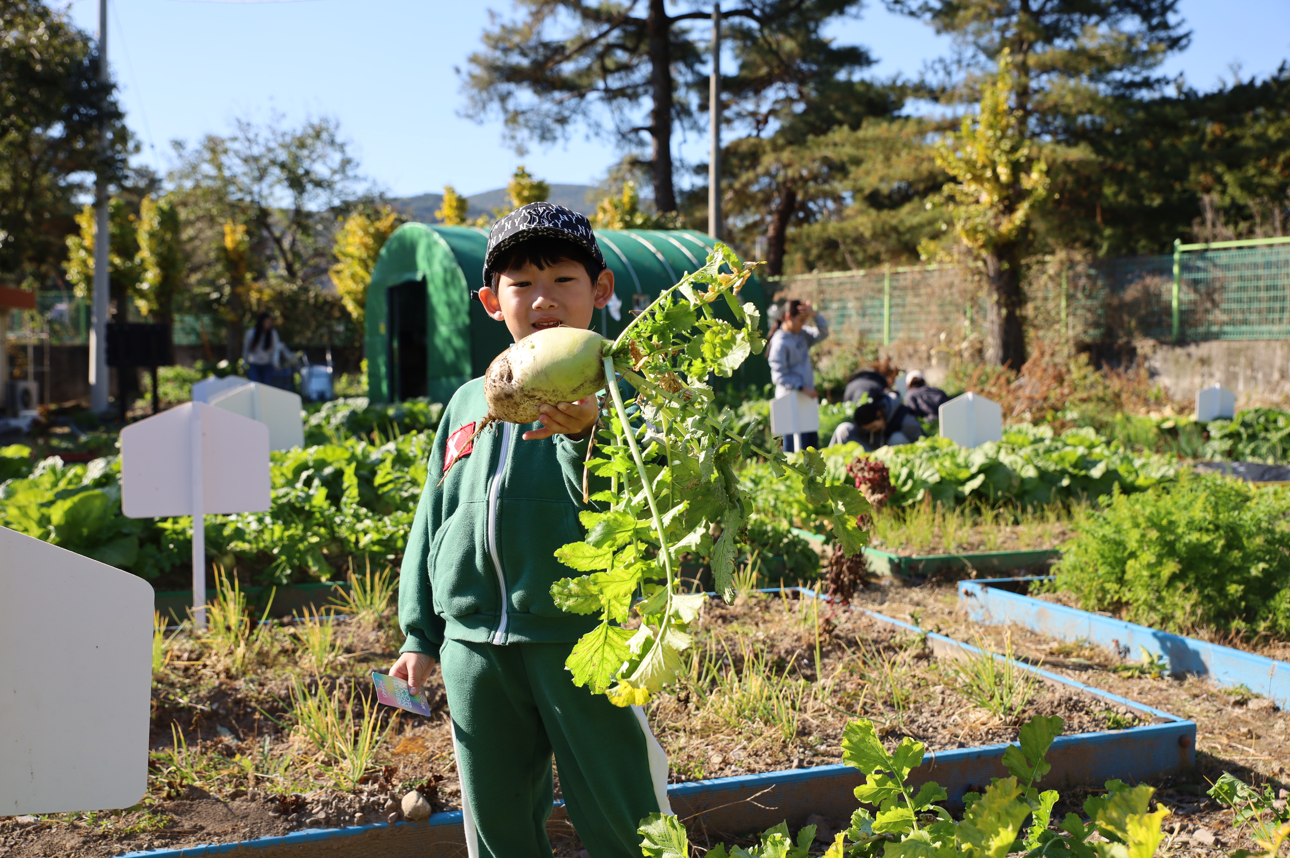 의령 칠곡초, 유‧초연계 행복나눔 텃밭 ‘새참데이’ 개최 - 관련이미지4