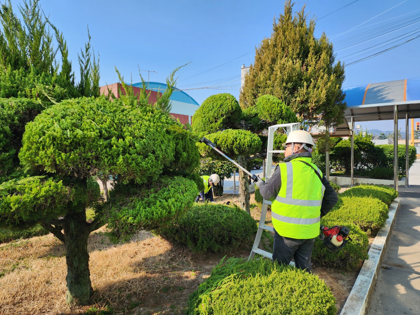 창녕교육지원청, 맞춤형 시설 지원으로 학교 시설업무 부담 경감 - 관련이미지1