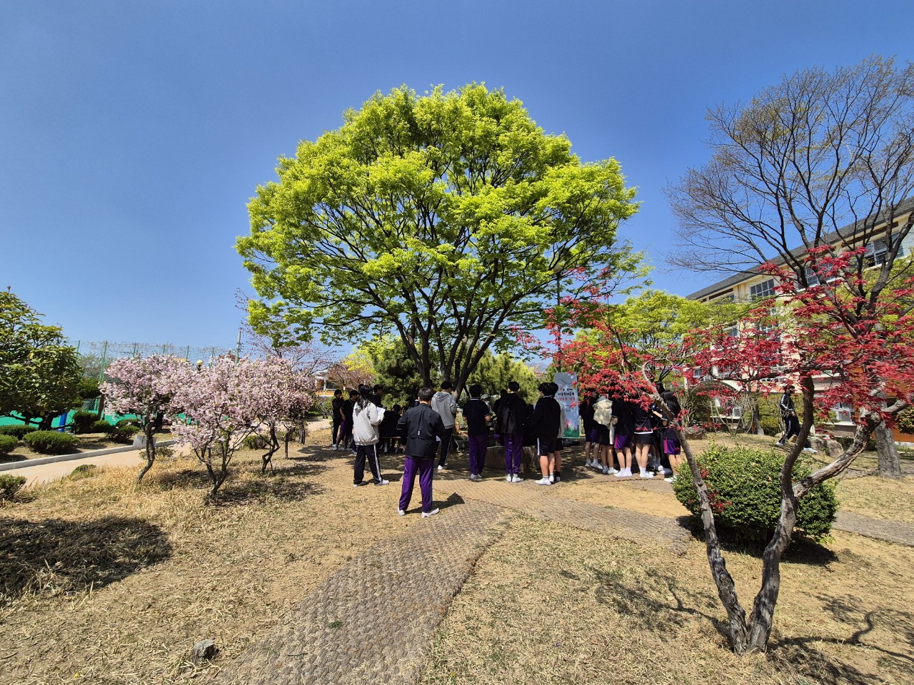 사파중학교 우정공원에서 봄과 함께 어울렁 더울렁  도서관 음악회를 열다.  - 관련이미지1