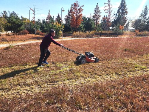 한글 사랑 골든벨·꿈자람 잔치·마을 봉사로 이어진 갈육초등학교 ‘이웃 사랑 나눔의 날’ - 관련이미지2