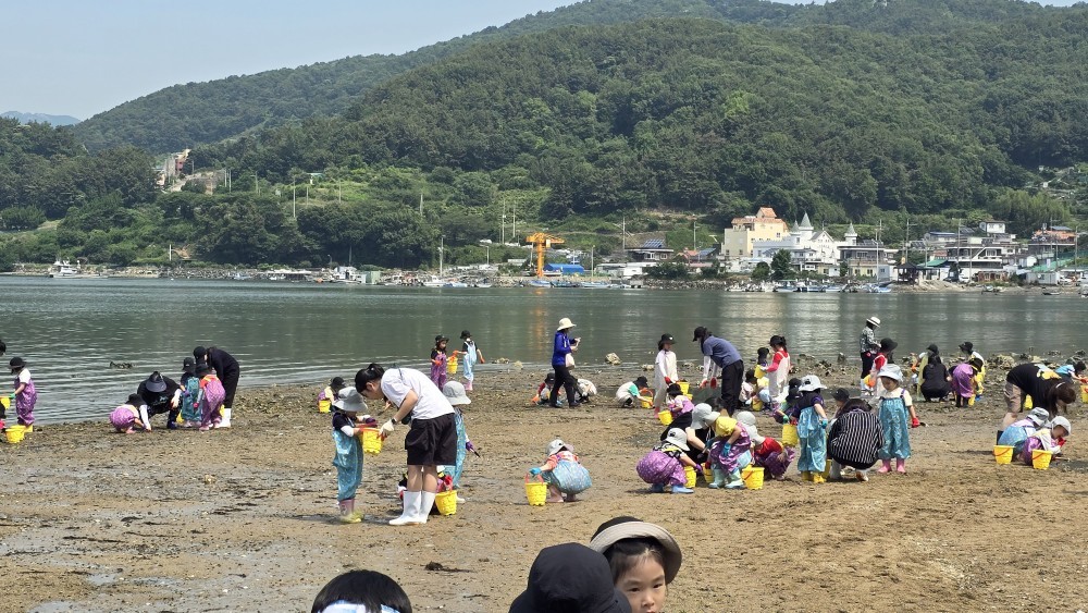 진해유치원, 바다사랑 생태놀이 갯벌체험의 날 운영  - 관련이미지2