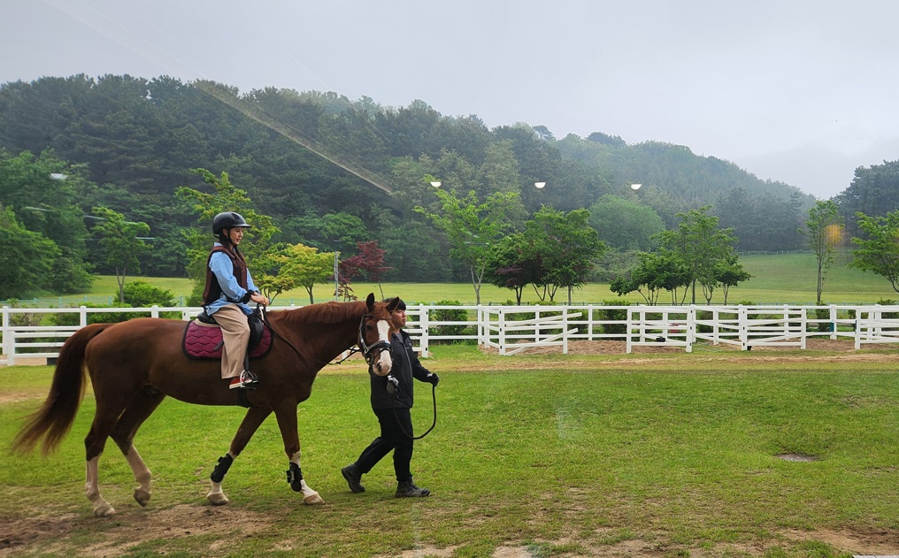 창원교육지원청, 교육복지우선지원사업 교육복지사 연수 실시 - 관련이미지2