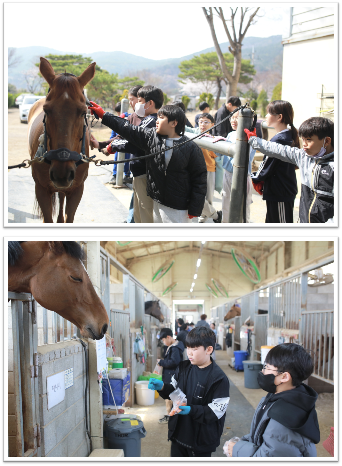 김해 용산초, 승마교육으로 여는 새로운 배움과 성장의 장 - 관련이미지1