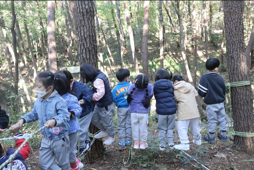 거제용소초병설유, 자연과 함께하는 숲&밧줄 데이! 밧줄로 다양한 놀이 체험 즐겨! - 관련이미지2