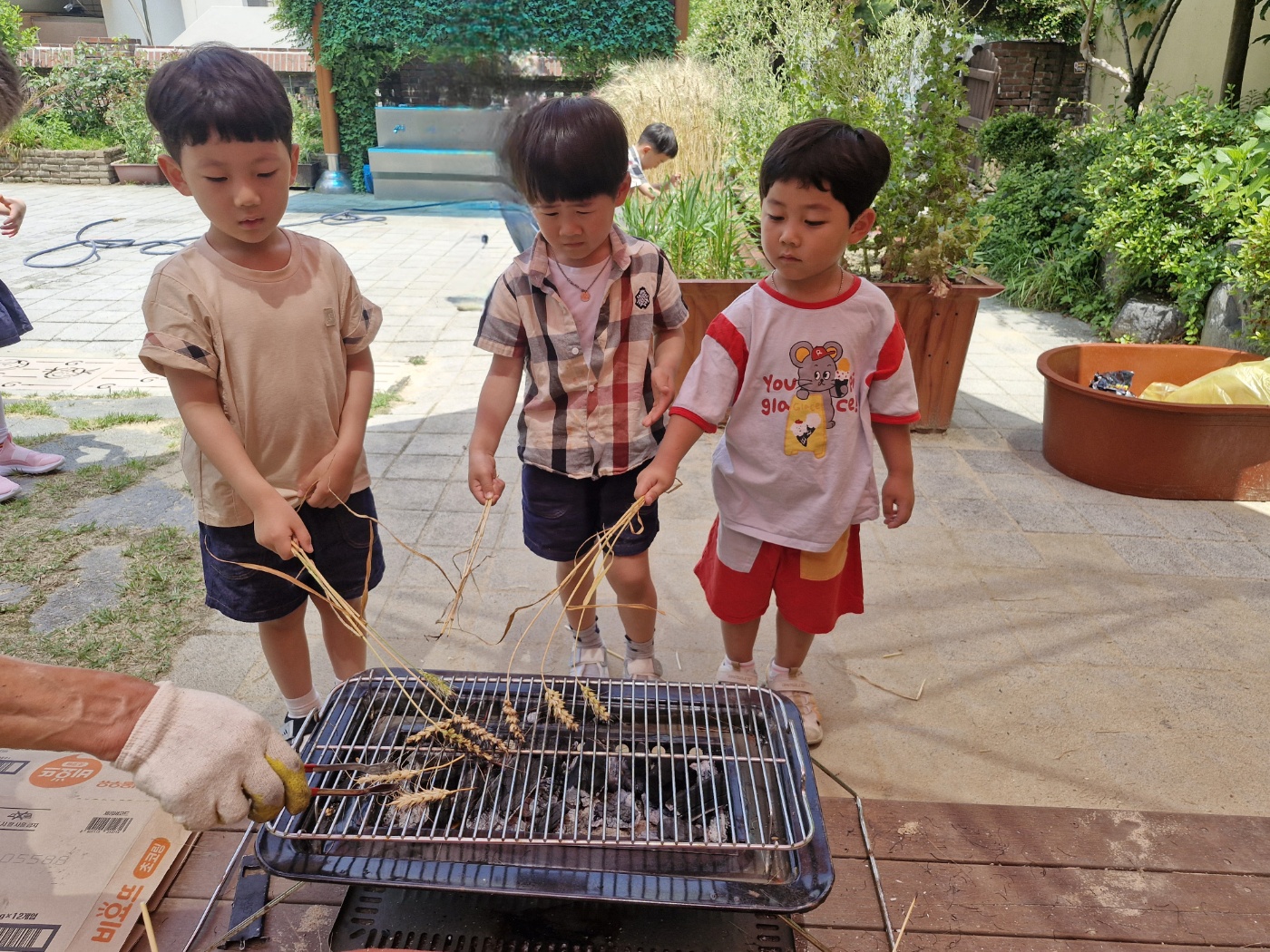한울유치원, 우리밀로 즐기는 ‘밀서리 체험’ 운영 - 관련이미지1