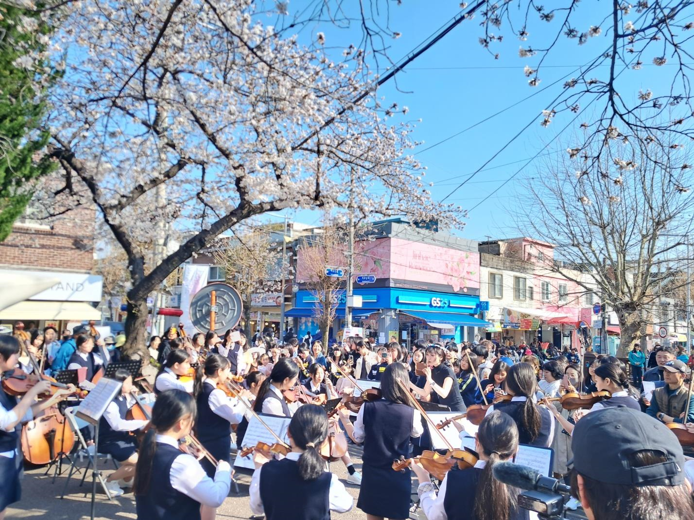 '진해여중, 벚꽃과 어우러진 음악으로 꽃피운 음악회 개최’ - 관련이미지1