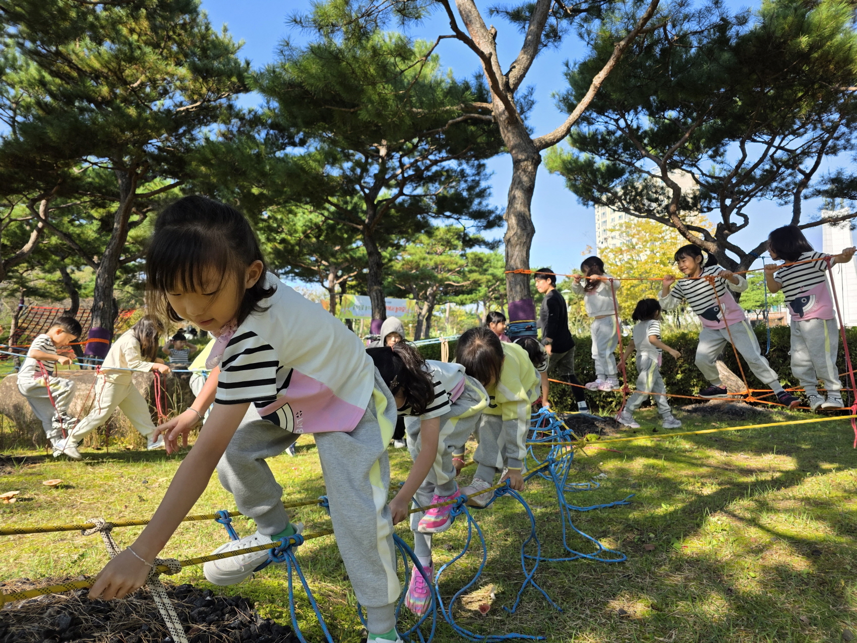 합천군 공립유치원, 생태전환활동(숲&밧줄 놀이) 실시... - 관련이미지2