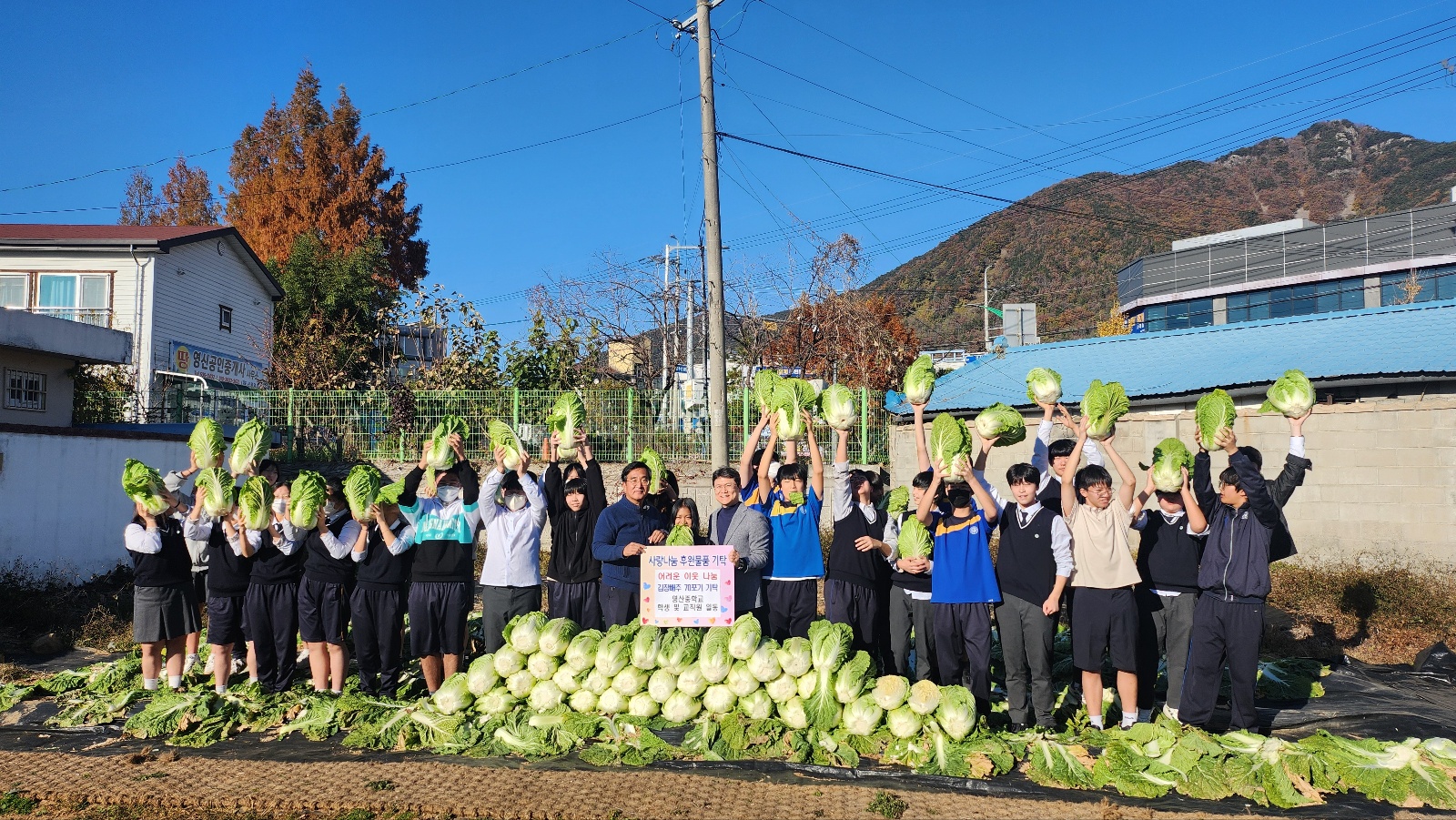 영산중학교, 배추 70포기 영산면사무소 기증  - 학생들이 직접 심고 가꾼 사랑의 텃밭 나눔 실천 – - 관련이미지2