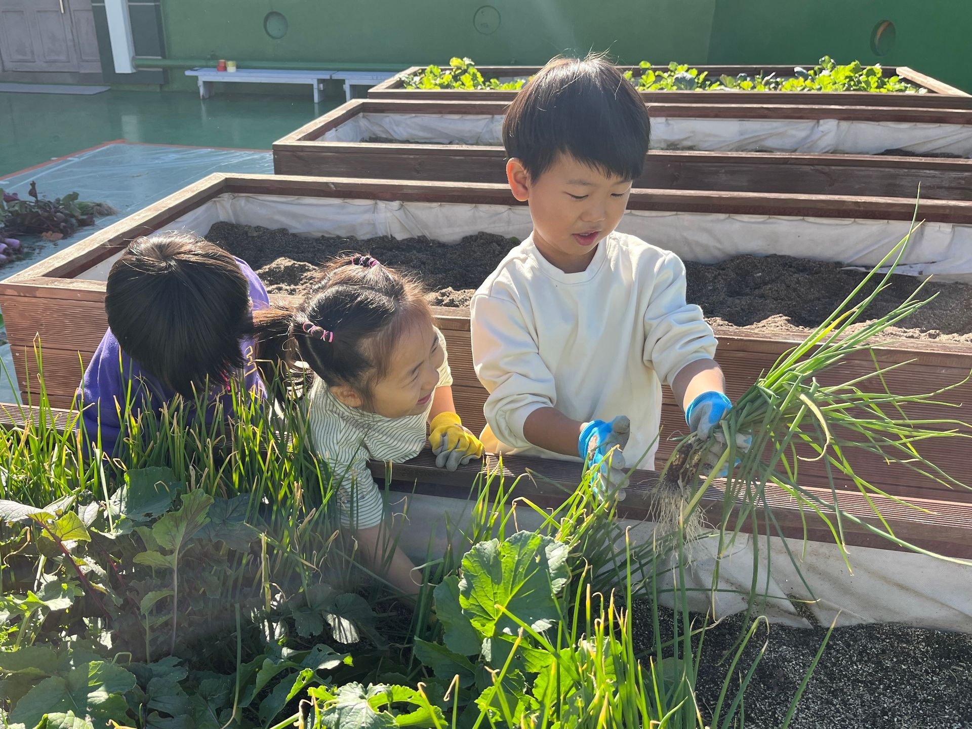 김해유치원, 행복을 나누는 플리마켓 - 관련이미지1