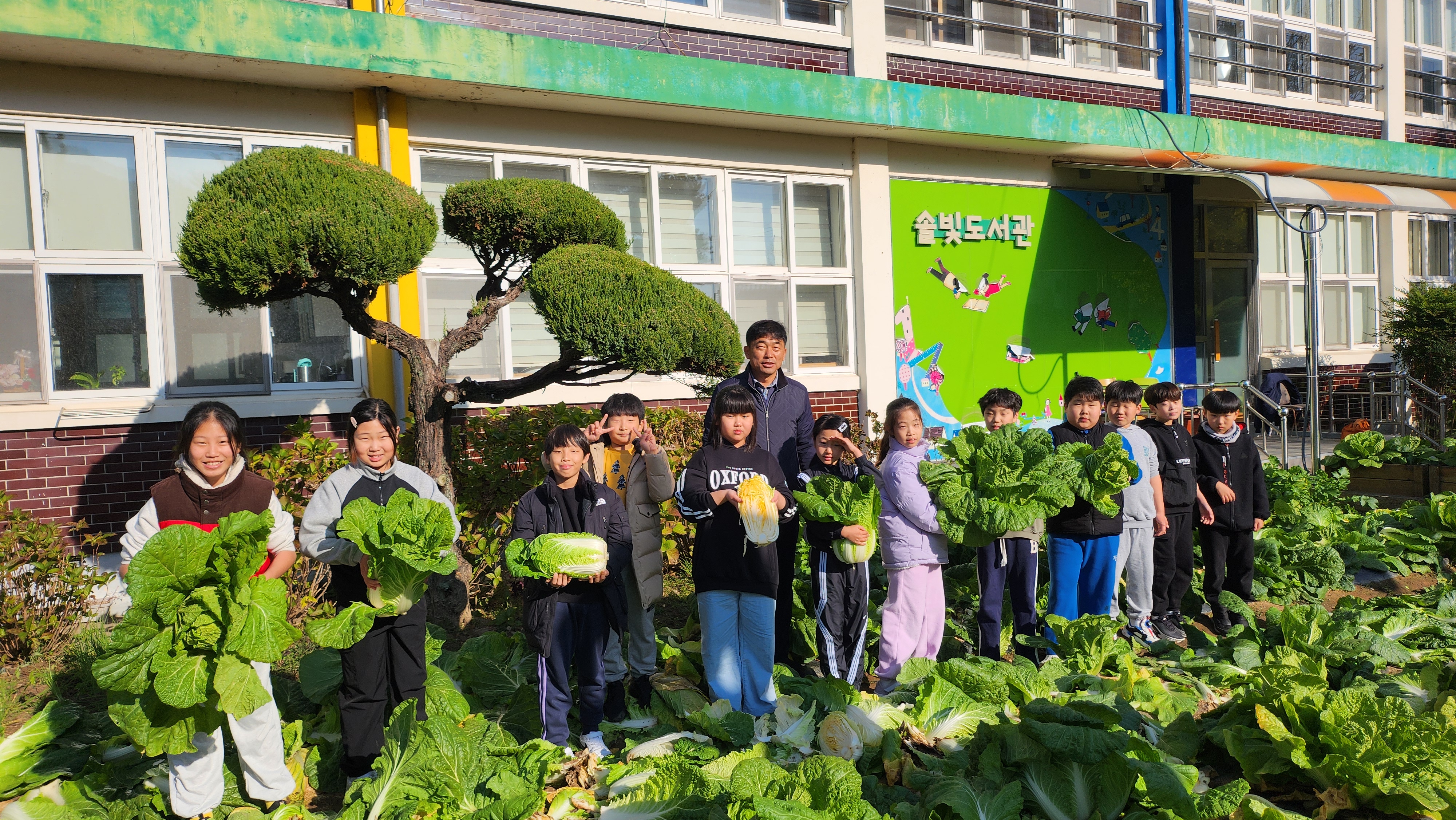 산청 신안초, 텃밭에서 키운 배추, 김장으로 함께 하는 나눔의 행복 - 관련이미지1