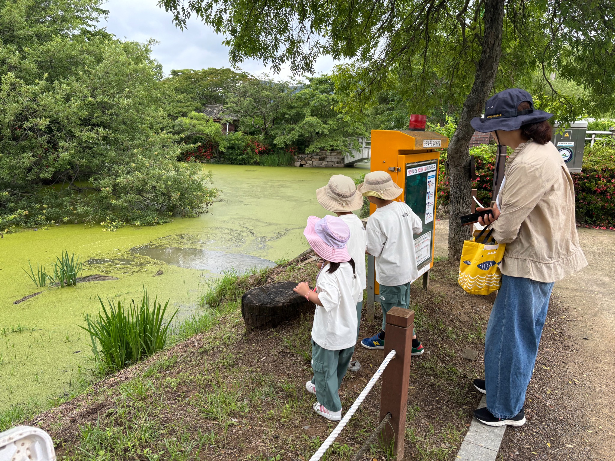 소인수협동교육과정 학부모 참여수업 및 연수 - 관련이미지1