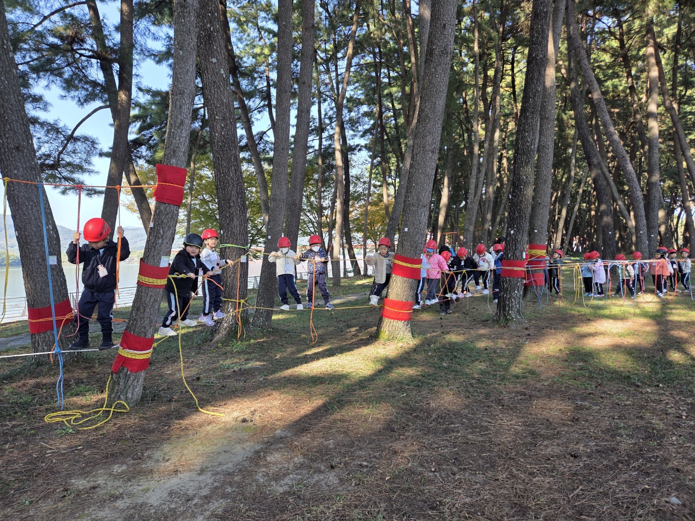 산청유치원, 가을 자연 속 밧줄 모험 - 관련이미지3