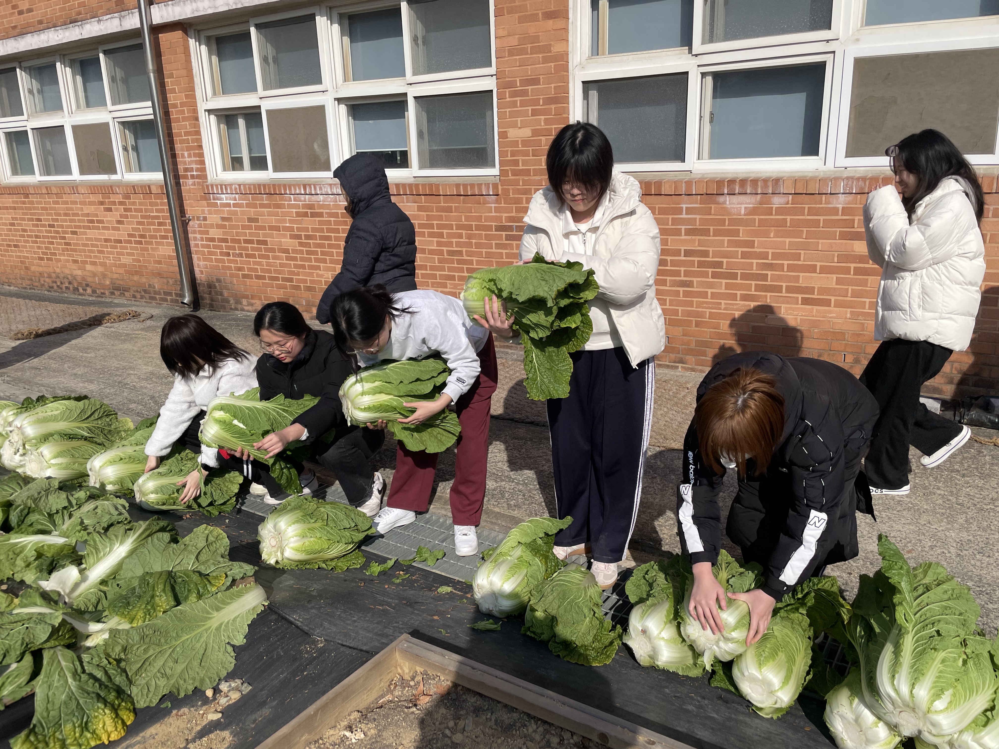 창원성민여자고등학교, “버려진 땅에서 지역을 잇는 생태교육의 장으로”… 학생 주도 텃밭 프로젝트 성과   - 관련이미지2