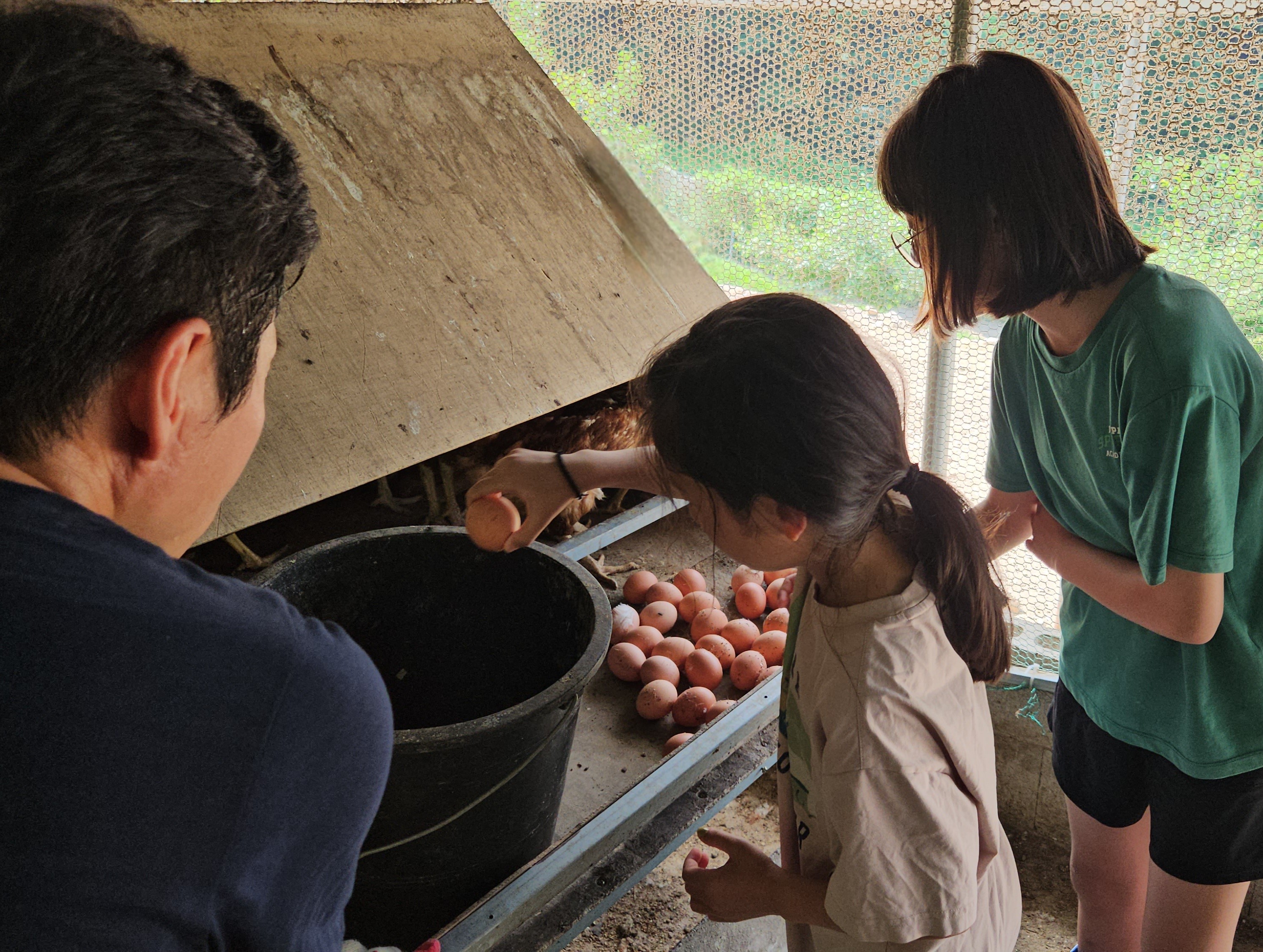 백전초, 폭싹 삶았수다!(백전초등학교, "태어난 김에 마을일주" 여덟번째 활동 실시) - 관련이미지3