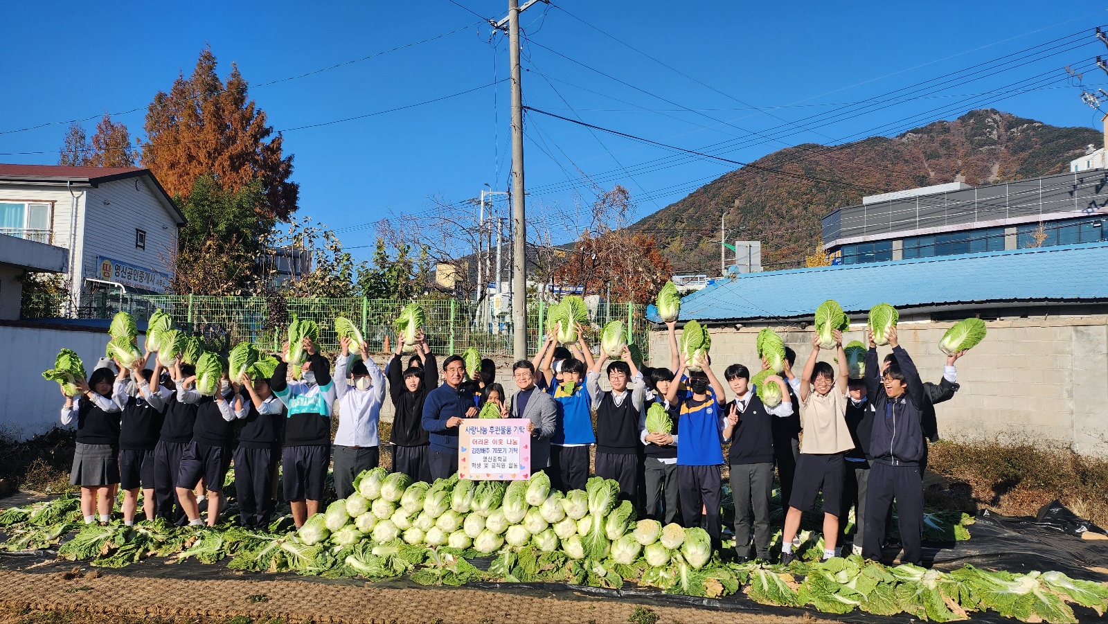영산중학교, 배추 70포기 영산면사무소 기증  - 학생들이 직접 심고 가꾼 사랑의 텃밭 나눔 실천 – - 관련이미지3